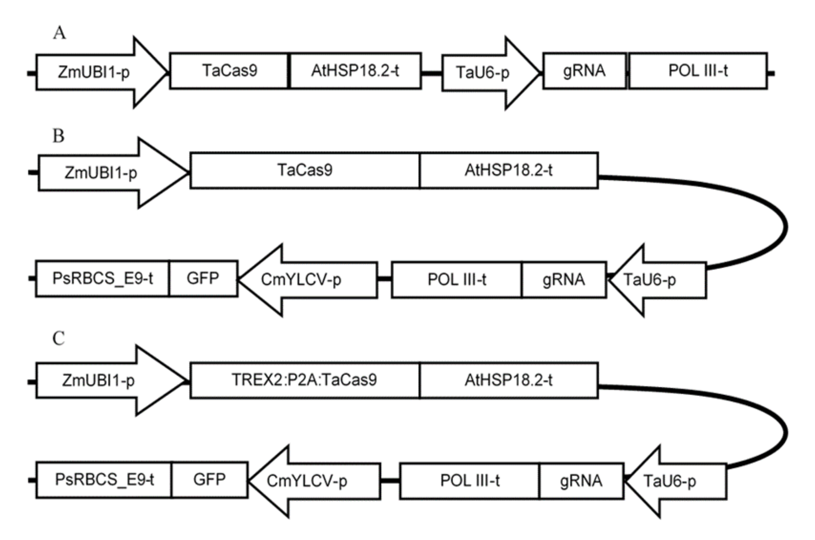 Ijms 22 07038 g002 550