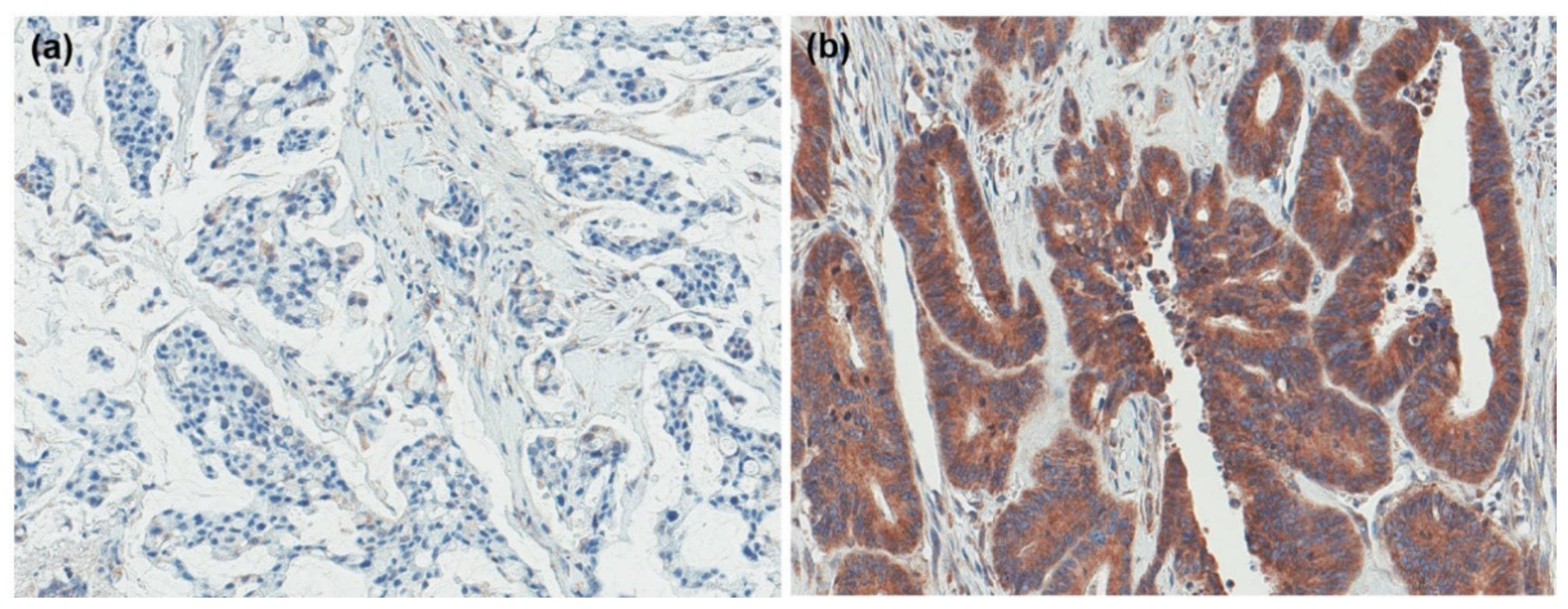 Ijms 22 07042 g001 550