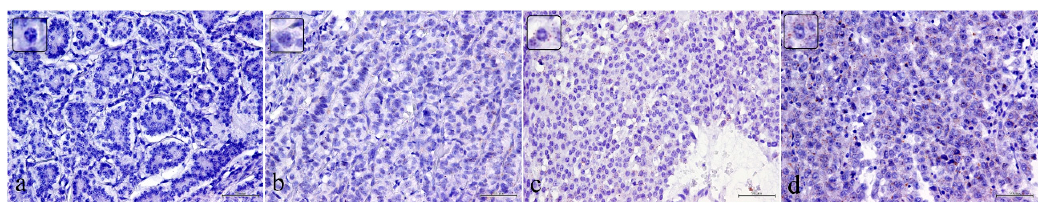 Ijms 22 07049 g004 550