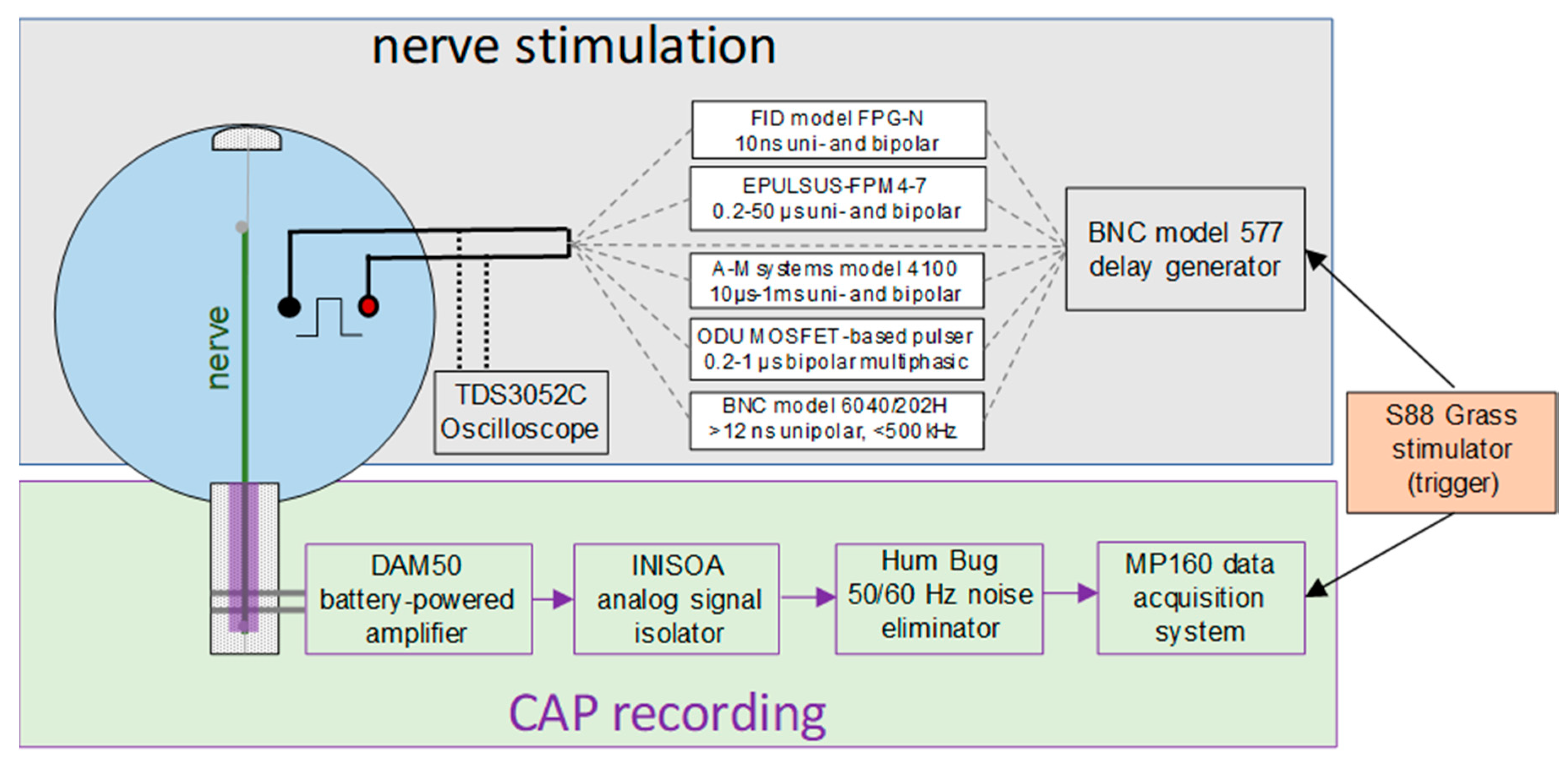 Ijms 22 07051 g008 550