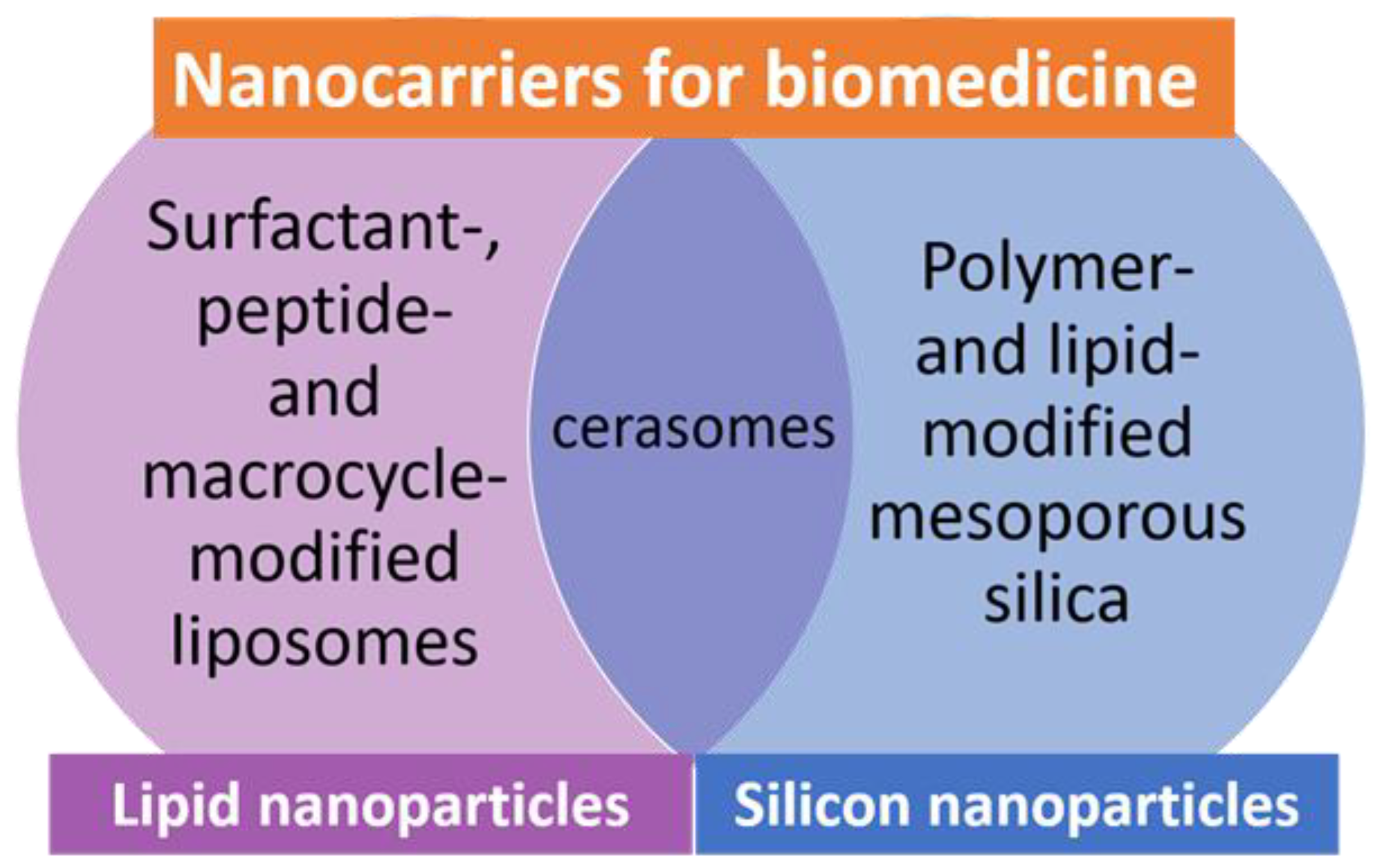 IJMS | Free Full-Text | Nanocarriers for Biomedicine: From Lipid 