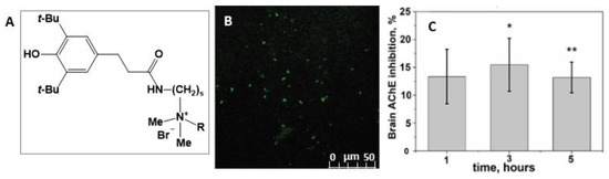 IJMS | Free Full-Text | Nanocarriers for Biomedicine: From Lipid 