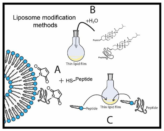 その他 mol Nanocarriers for Biomedicine: From Lipid Formulations to