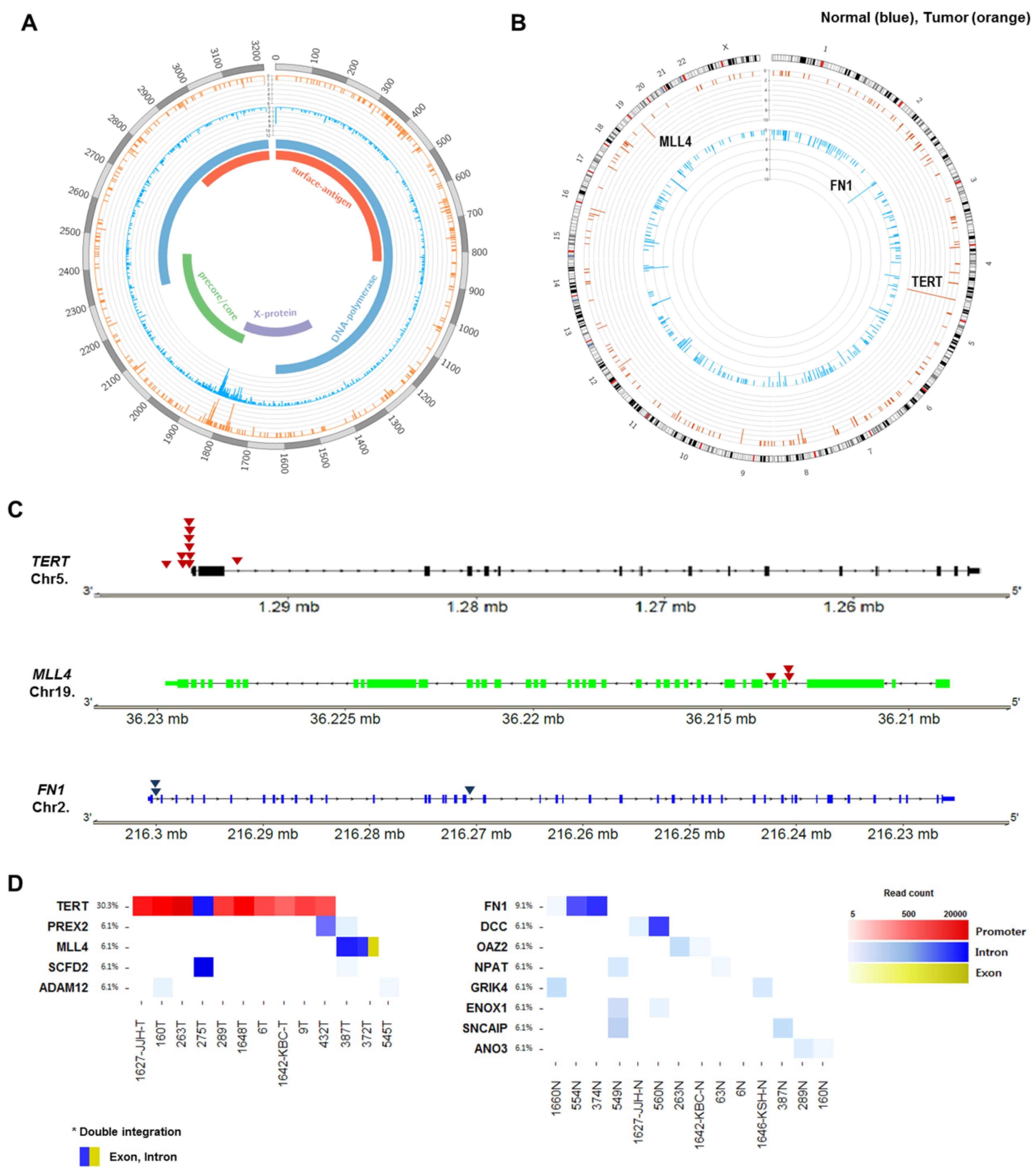 Ijms 22 07056 g003 550