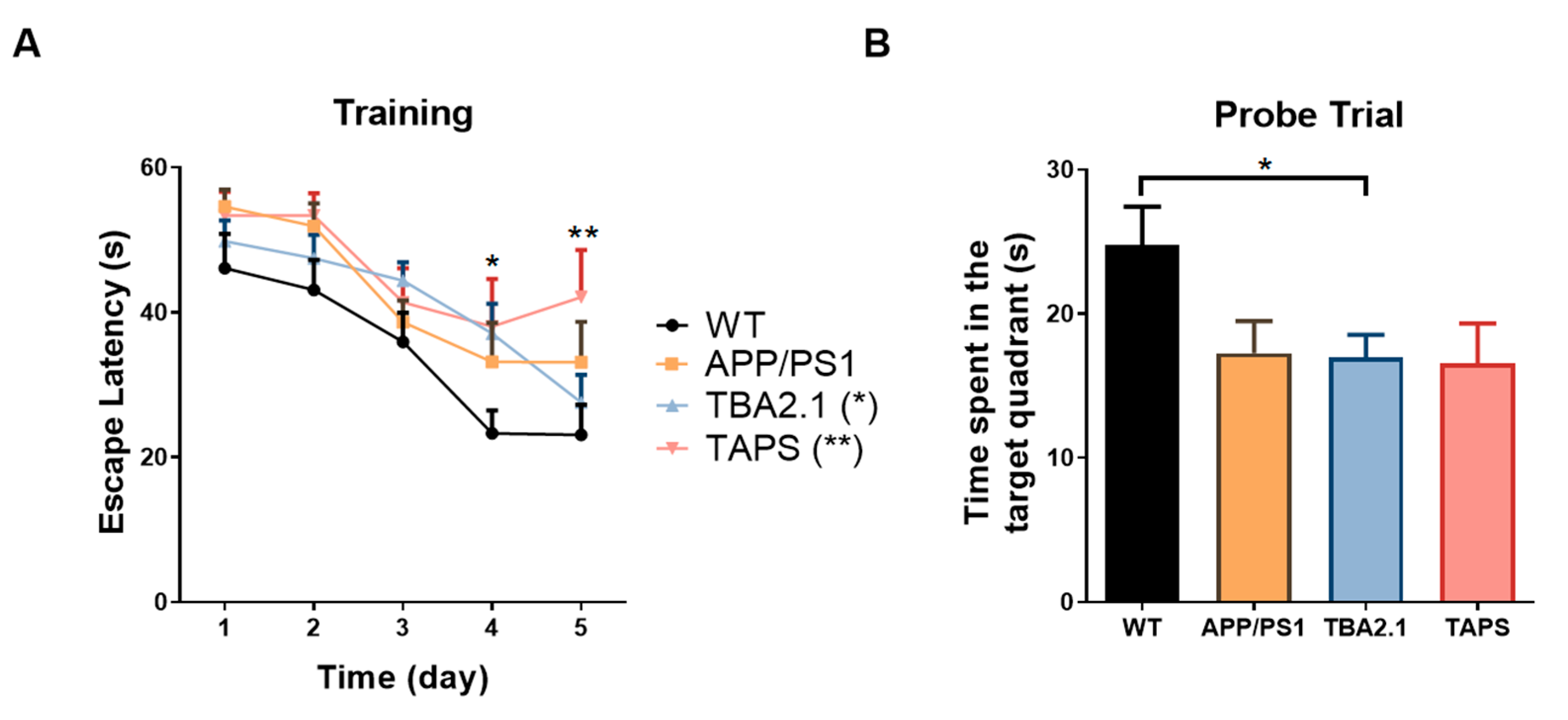 Ijms 22 07062 g010 Ijms 22 07062 g010