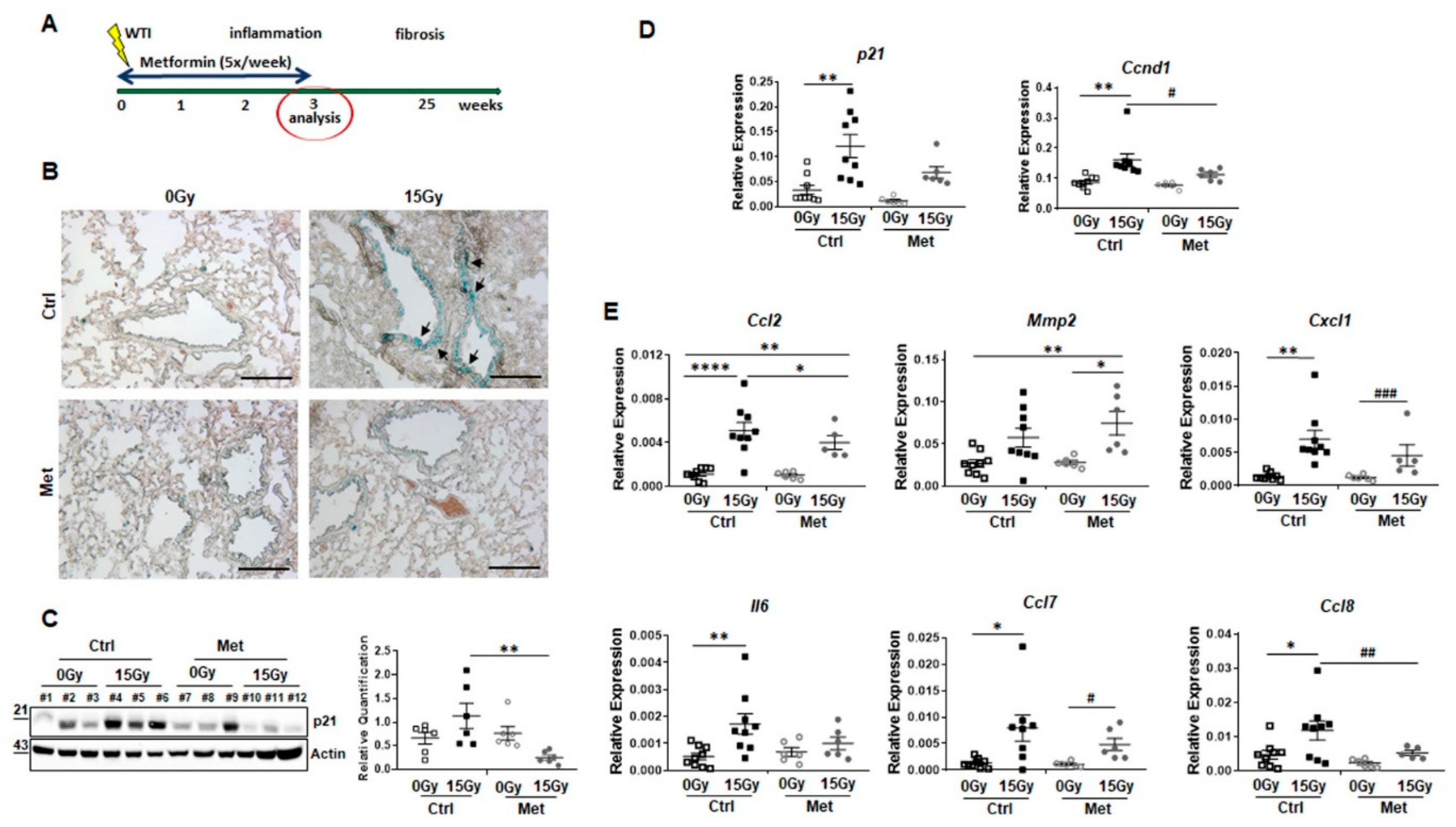 Ijms 22 07064 g001 550
