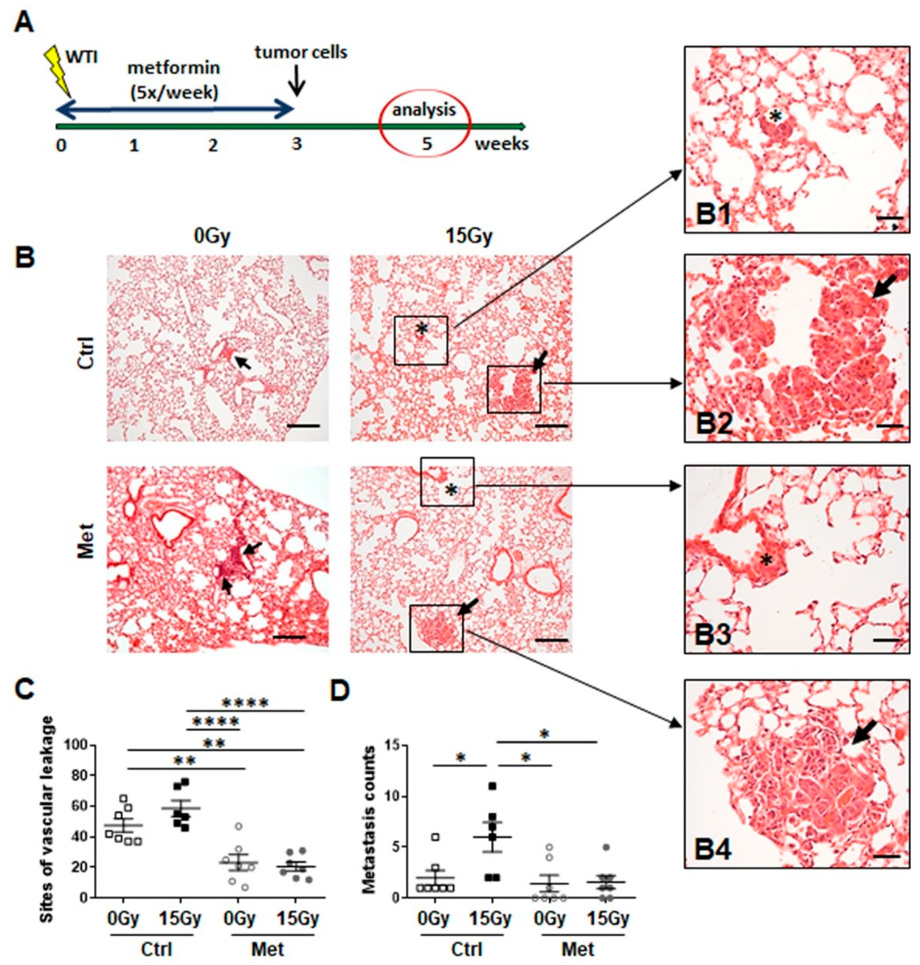 Ijms 22 07064 g003 550