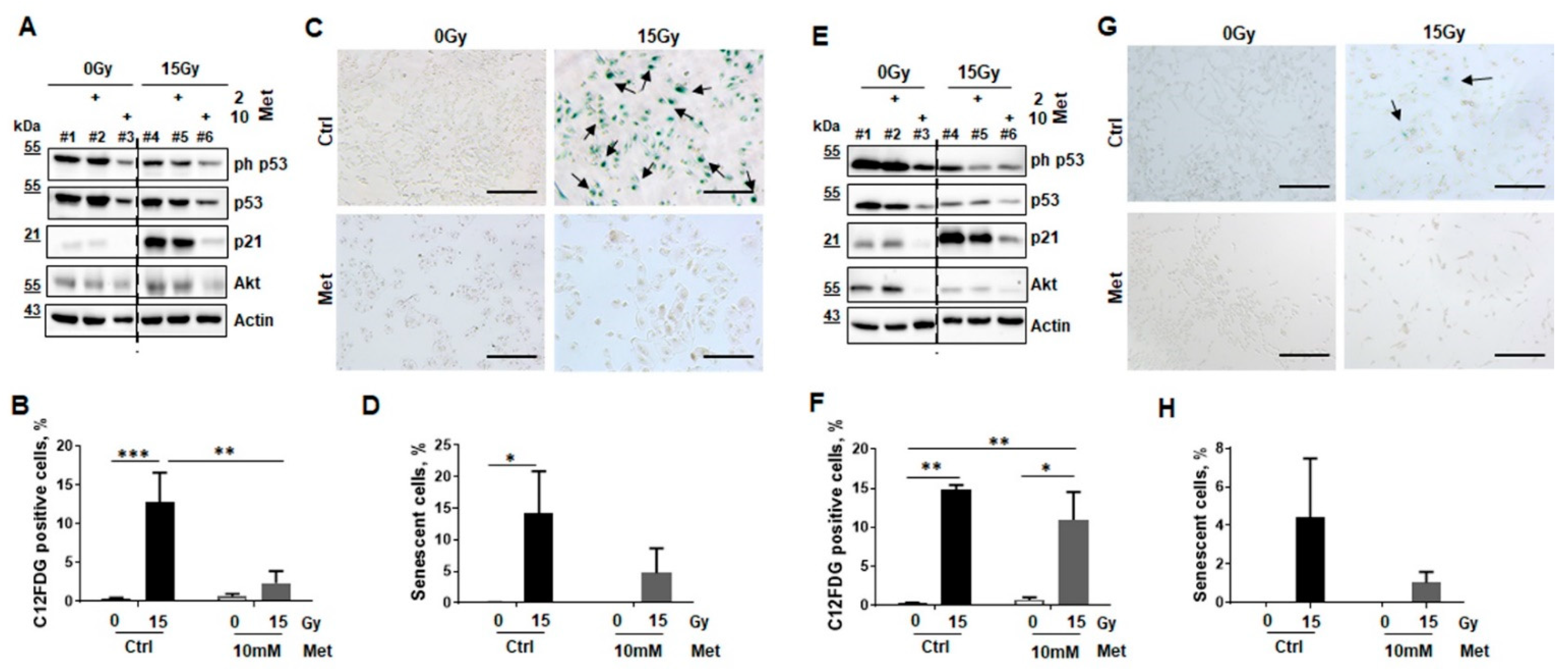 Ijms 22 07064 g005 550