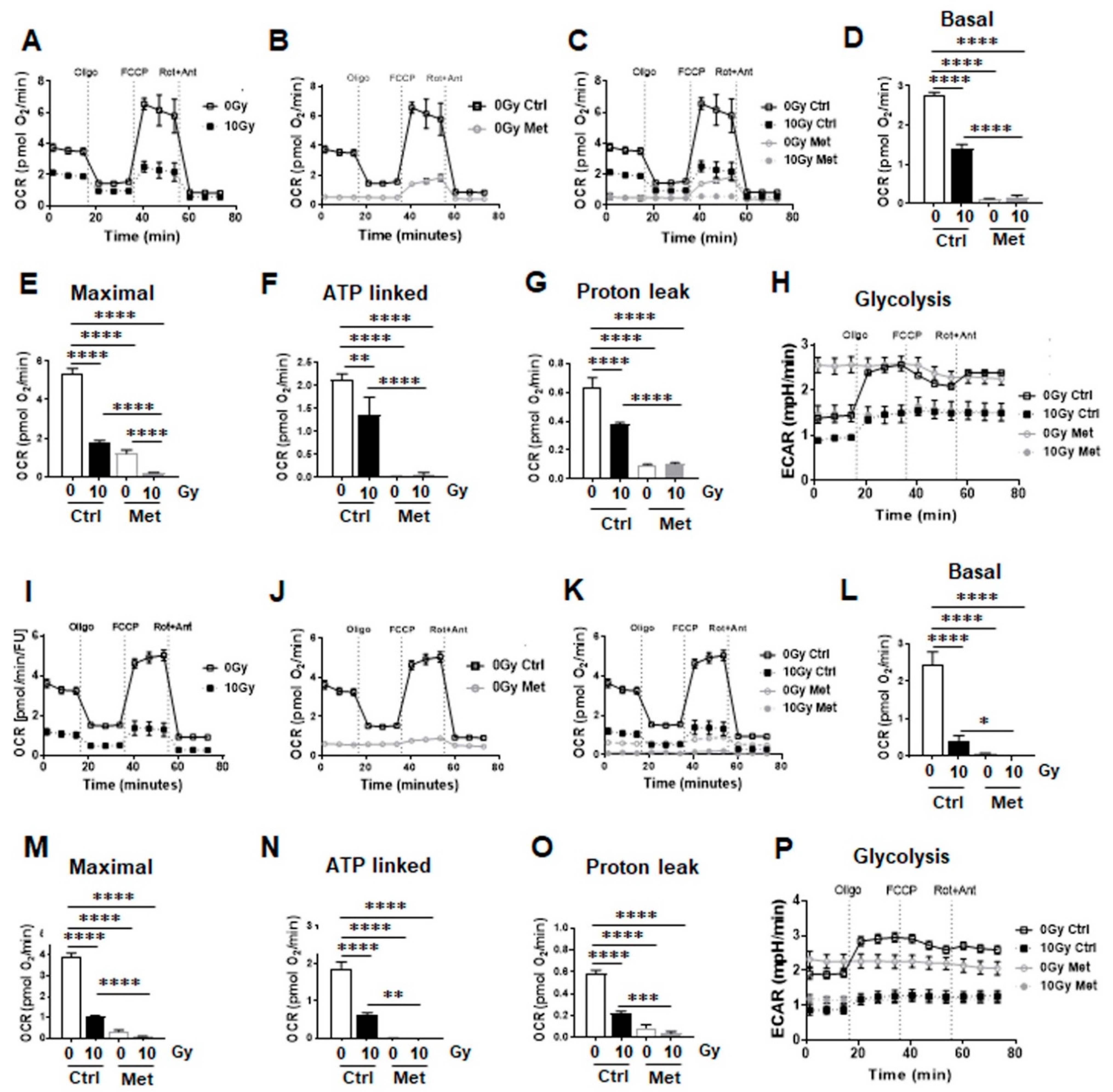 Ijms 22 07064 g007 550