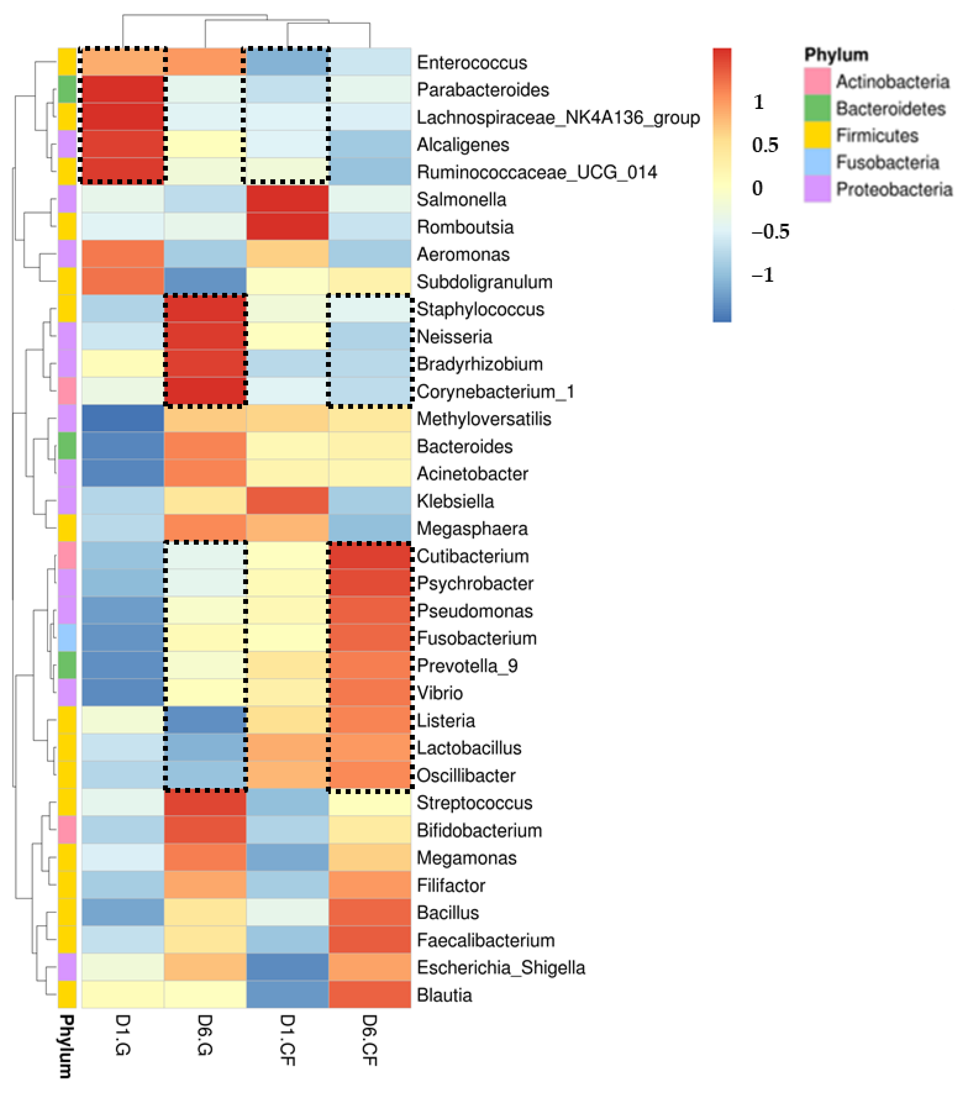 Ijms 22 07067 g007 550