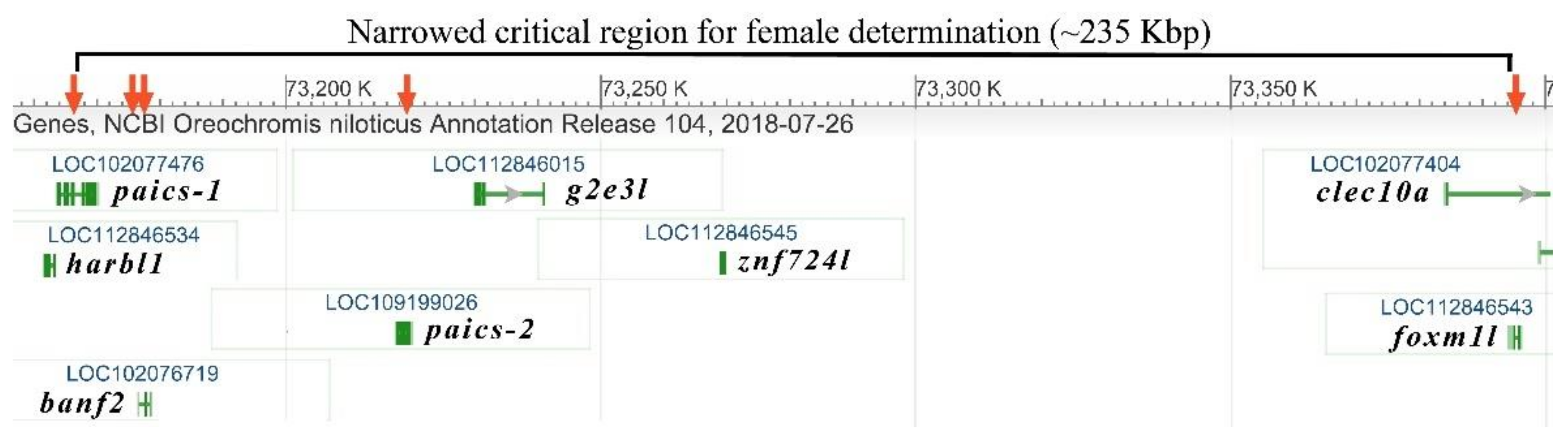 Ijms 22 07073 g001 Ijms 22 07073 g001