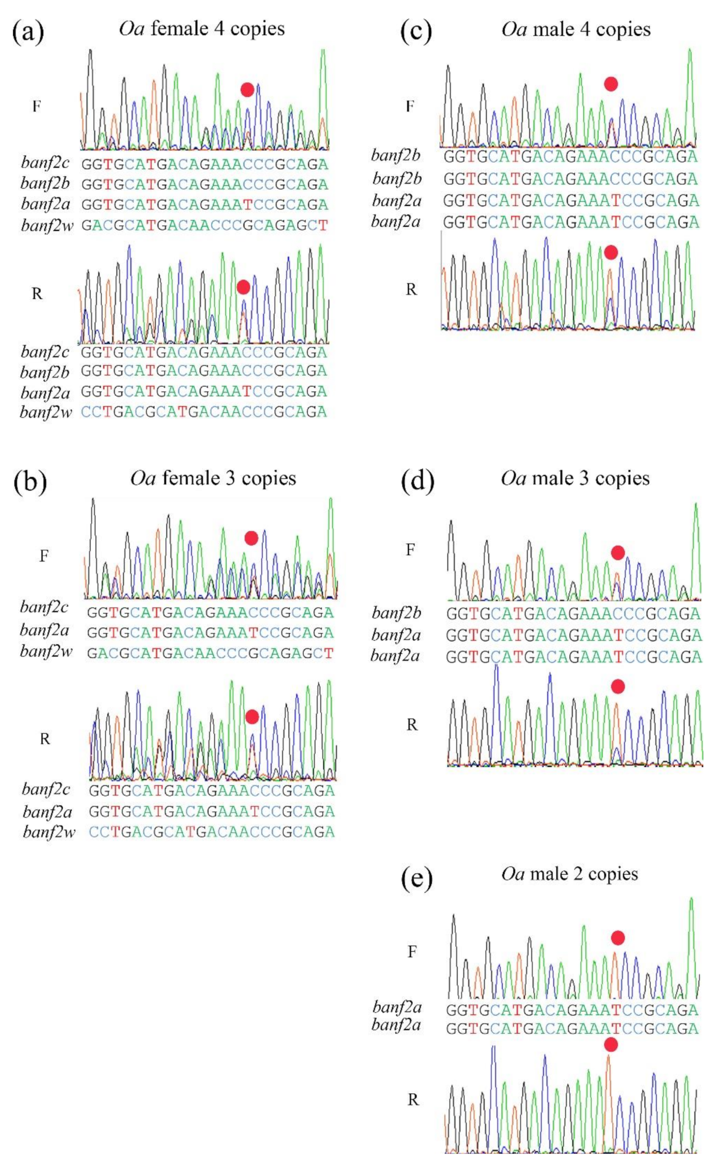 Ijms 22 07073 g004 Ijms 22 07073 g004