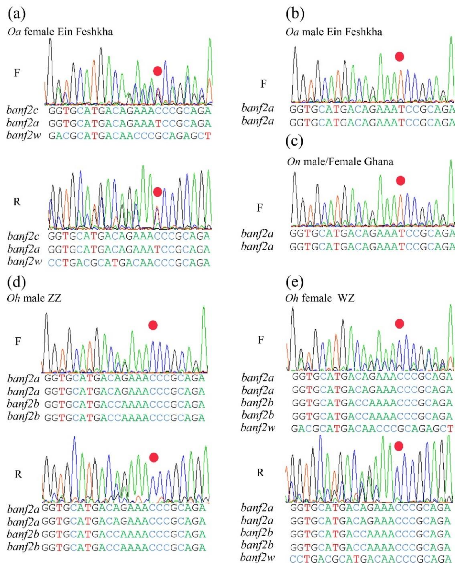 Ijms 22 07073 g005 Ijms 22 07073 g005
