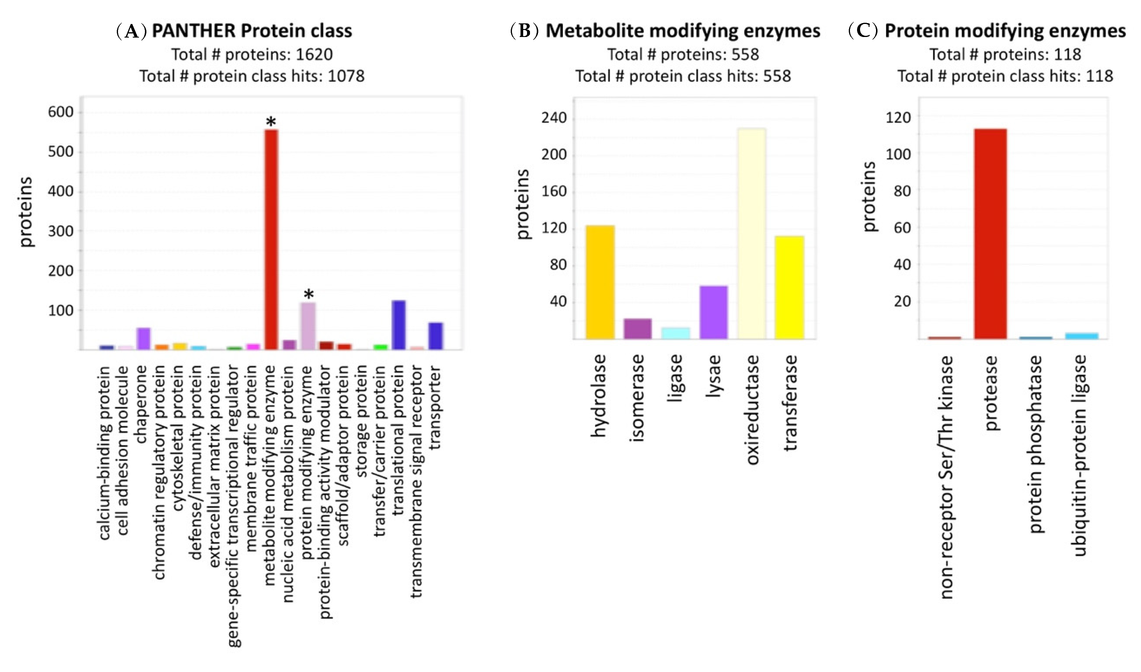 Ijms 22 07076 g001 550