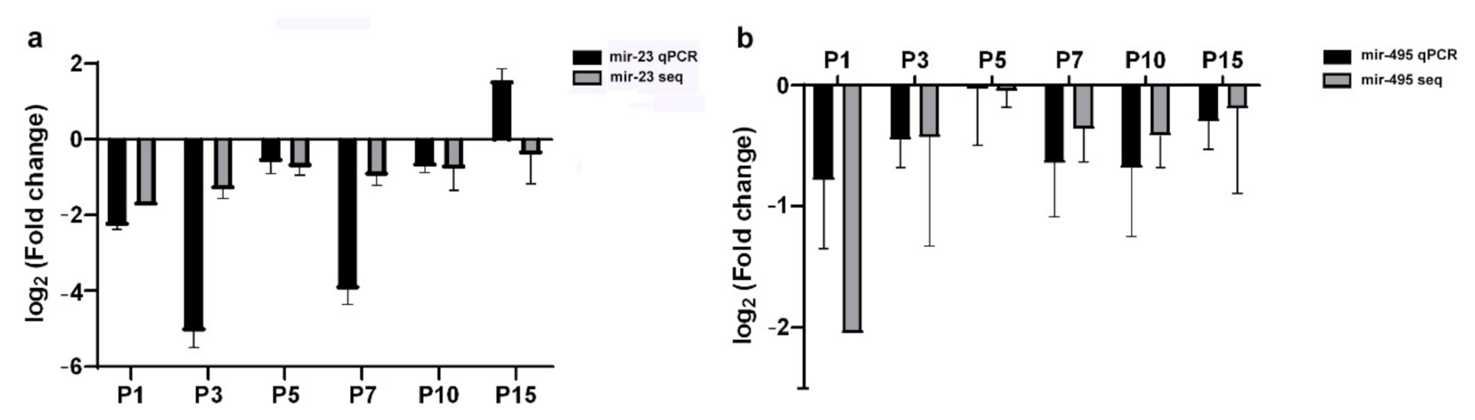 IJMS Free Full-Text Profile of miR-23 Expression and Possible Role in  Regulation of Glutamic Acid Decarboxylase during Postnatal Retinal  Development