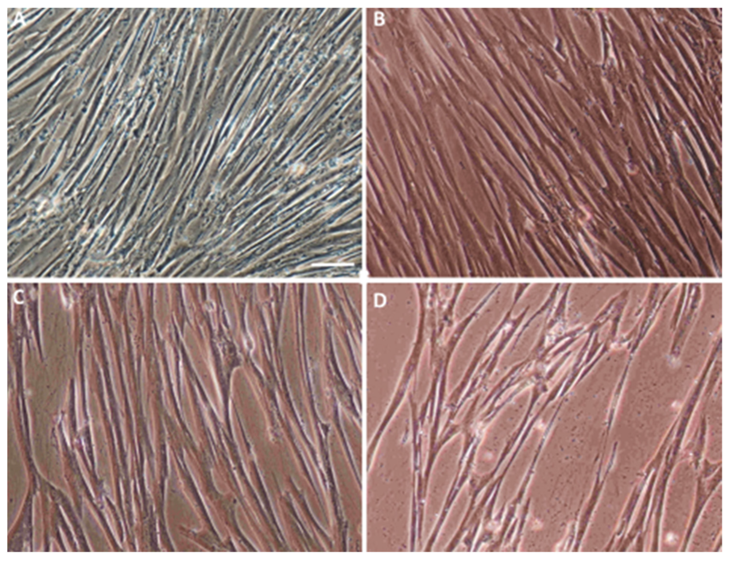 Ijms 22 07086 g001 550