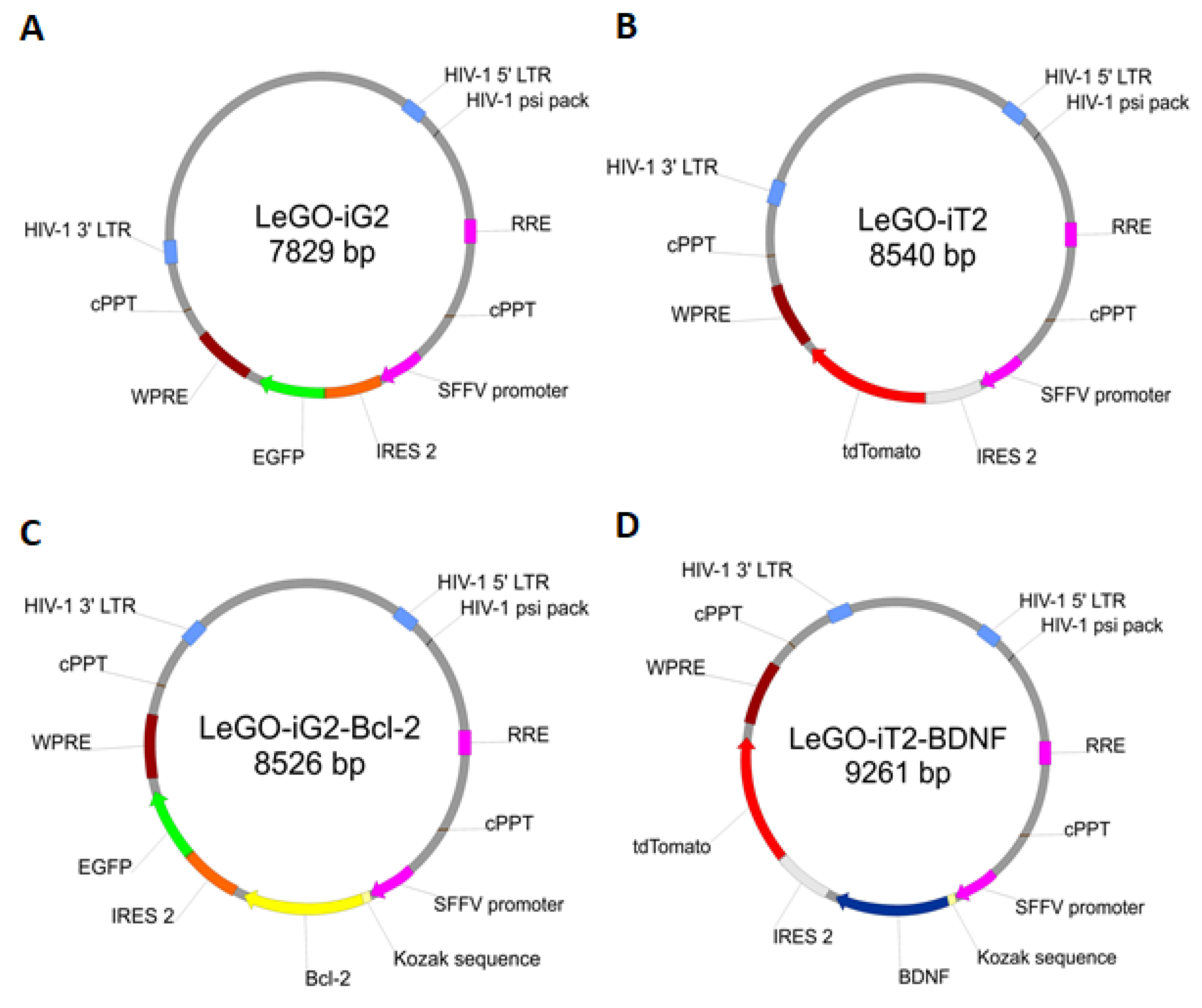 Ijms 22 07086 g002 550