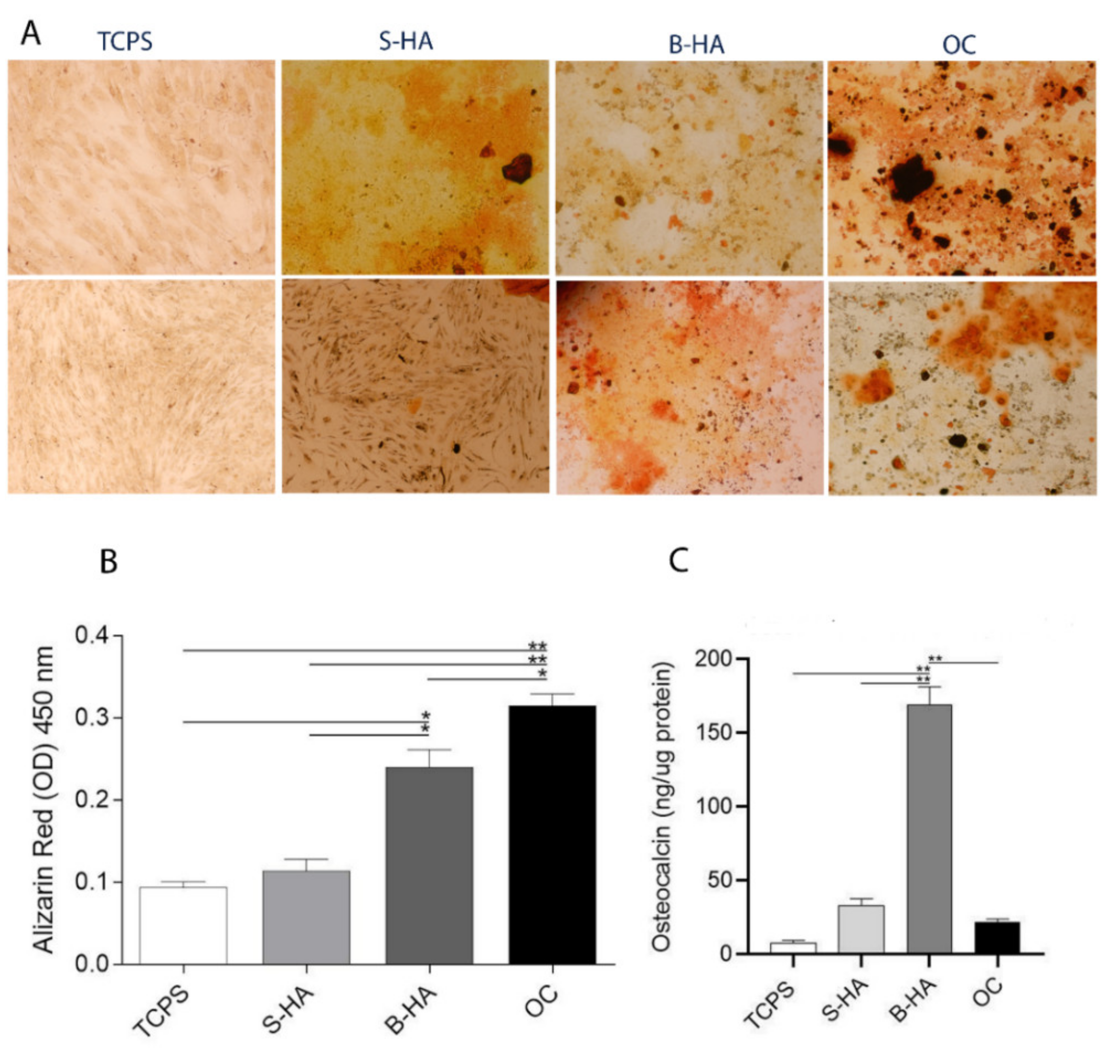 Ijms 22 07092 g003 550