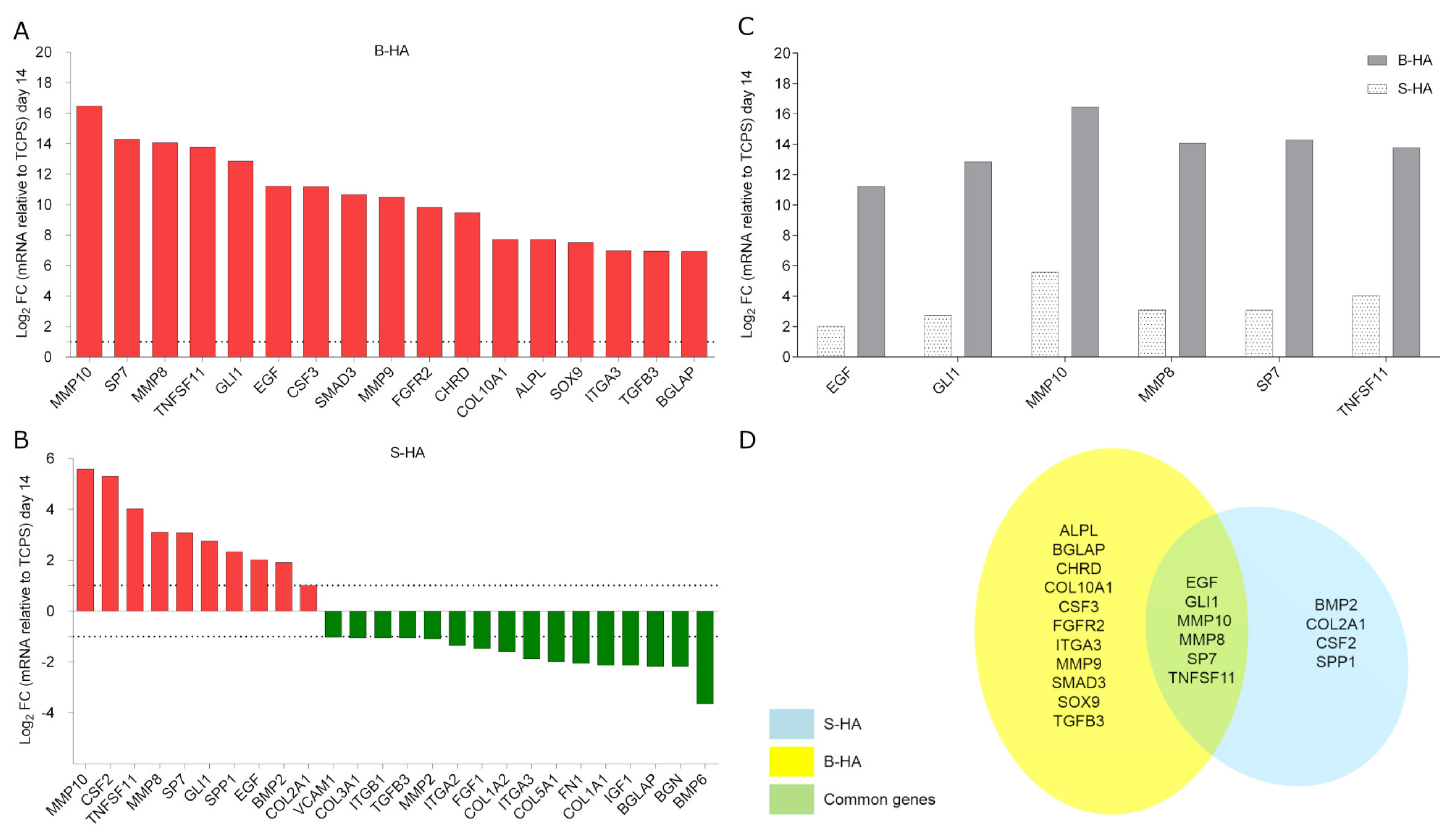 Ijms 22 07092 g004 550