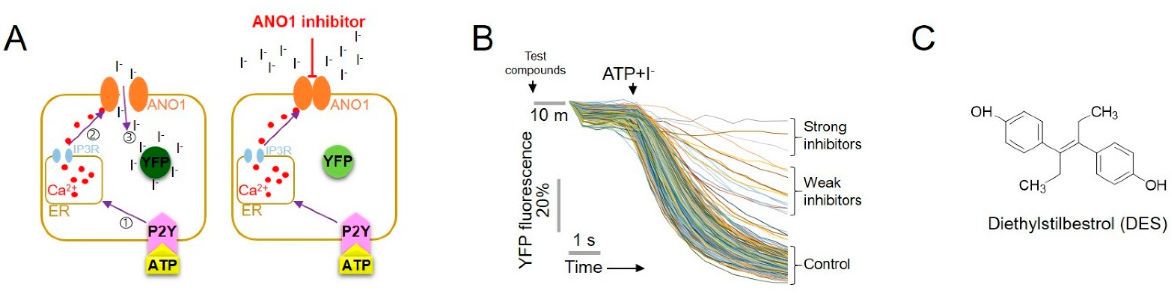 Ijms 22 07100 g001 550