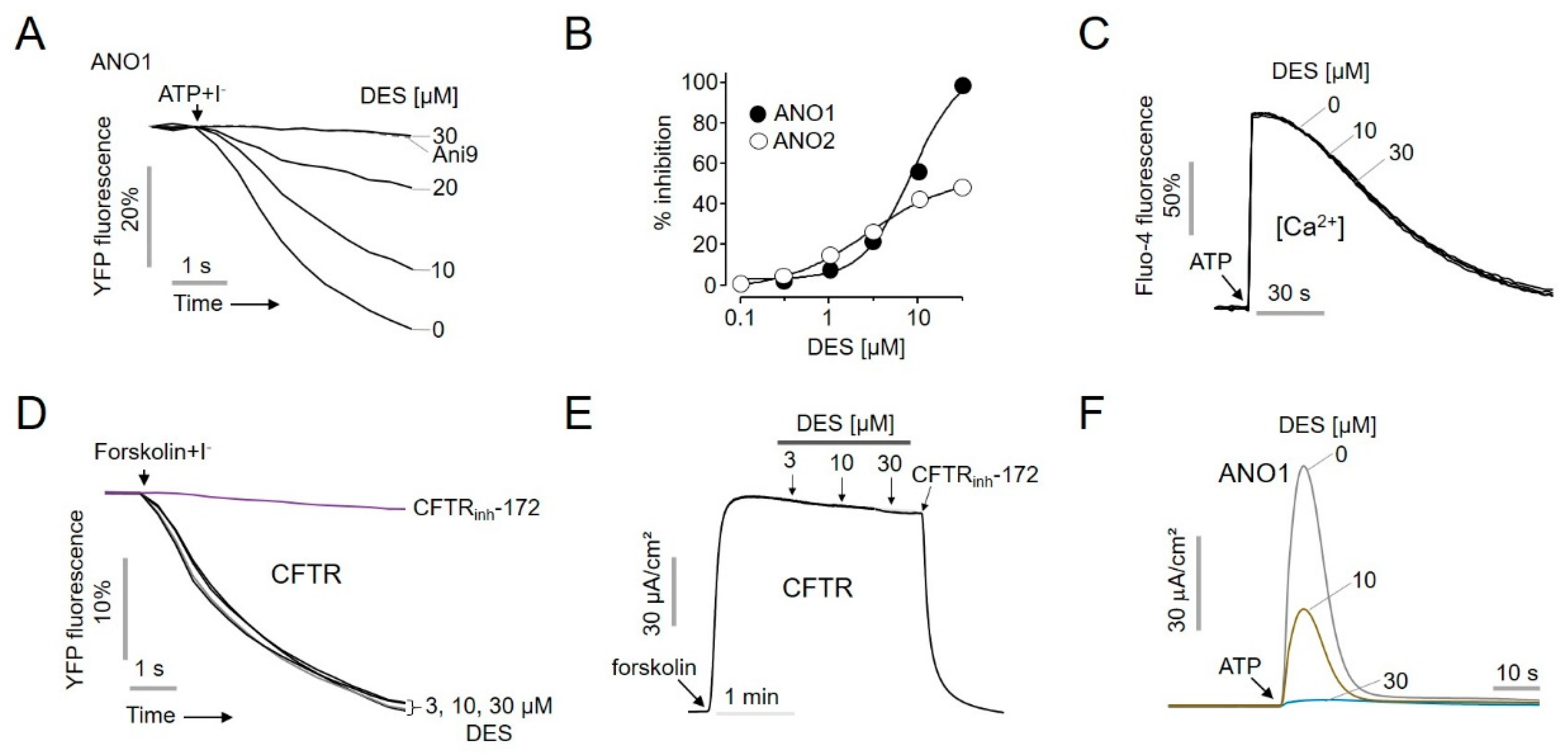 Ijms 22 07100 g002 550