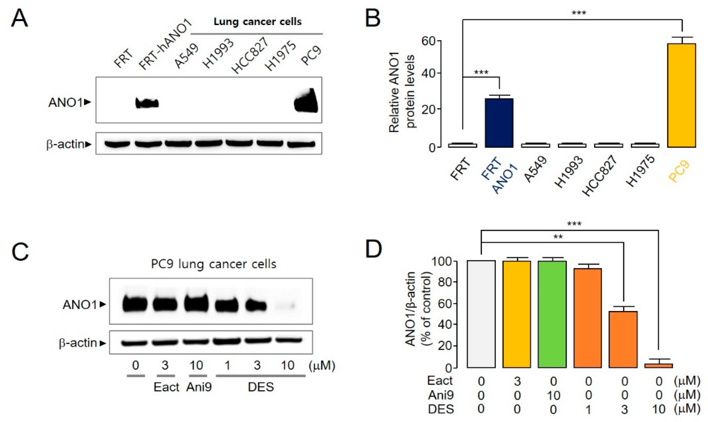 Ijms 22 07100 g004 550