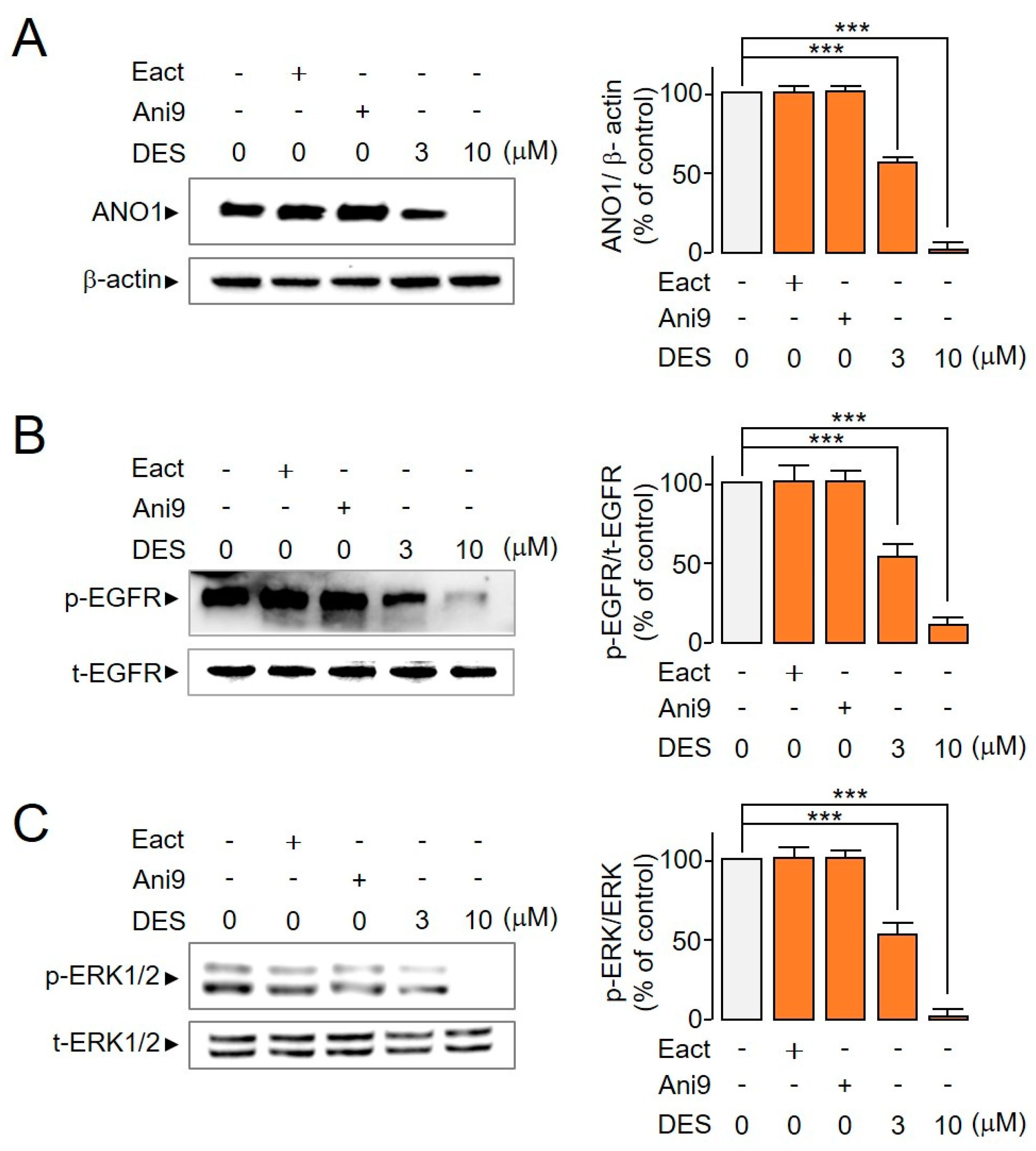 Ijms 22 07100 g006 550