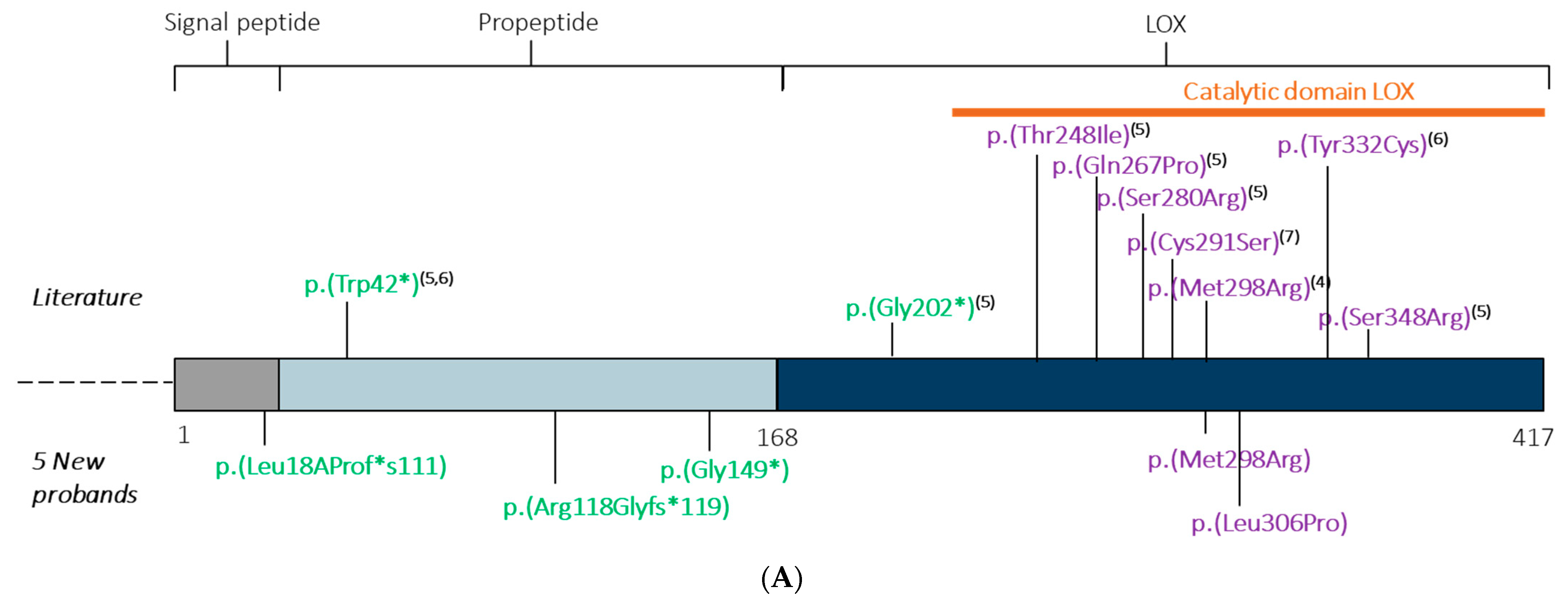 Ijms 22 07111 g001a 550