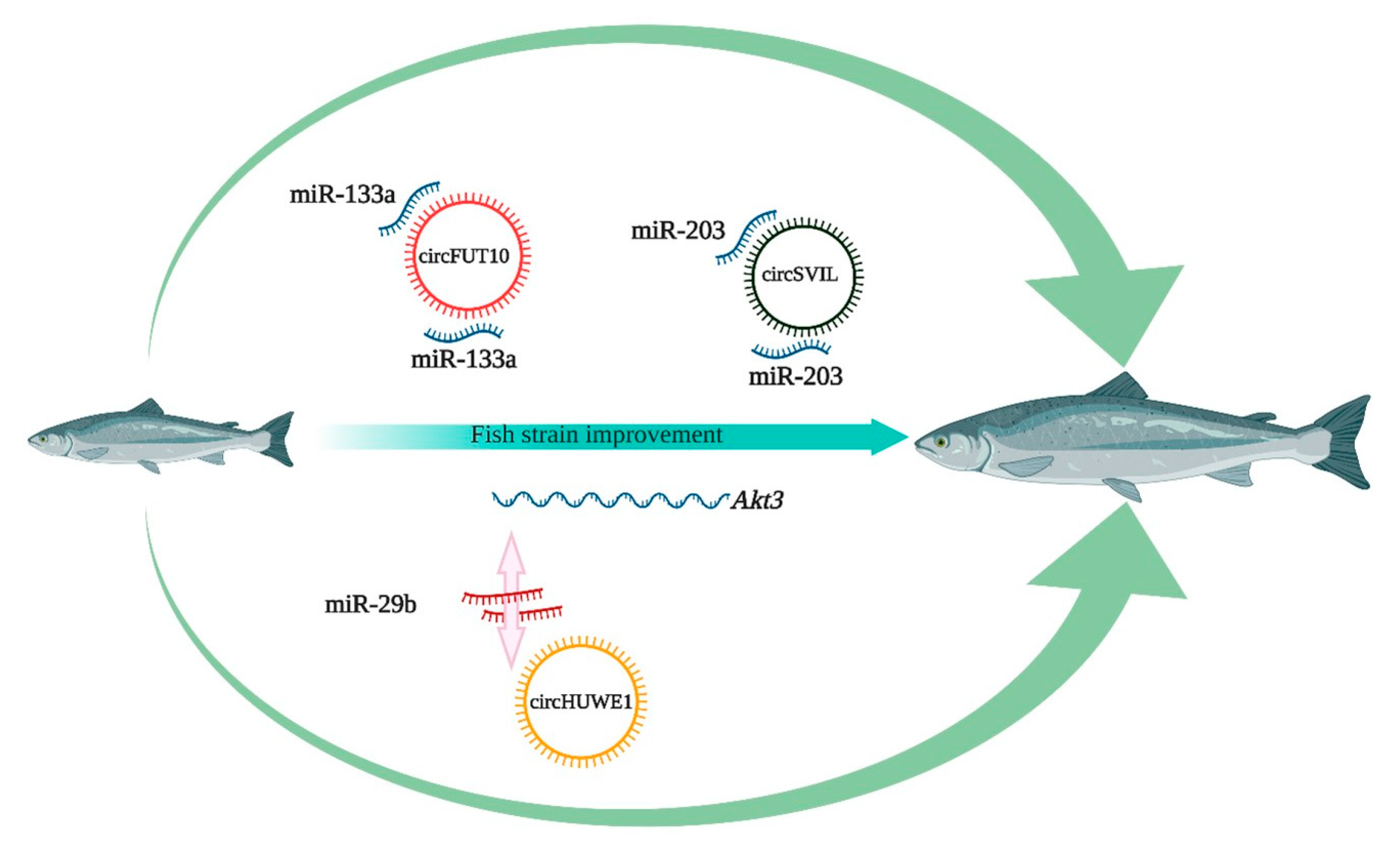 Ijms 22 07119 g004 550