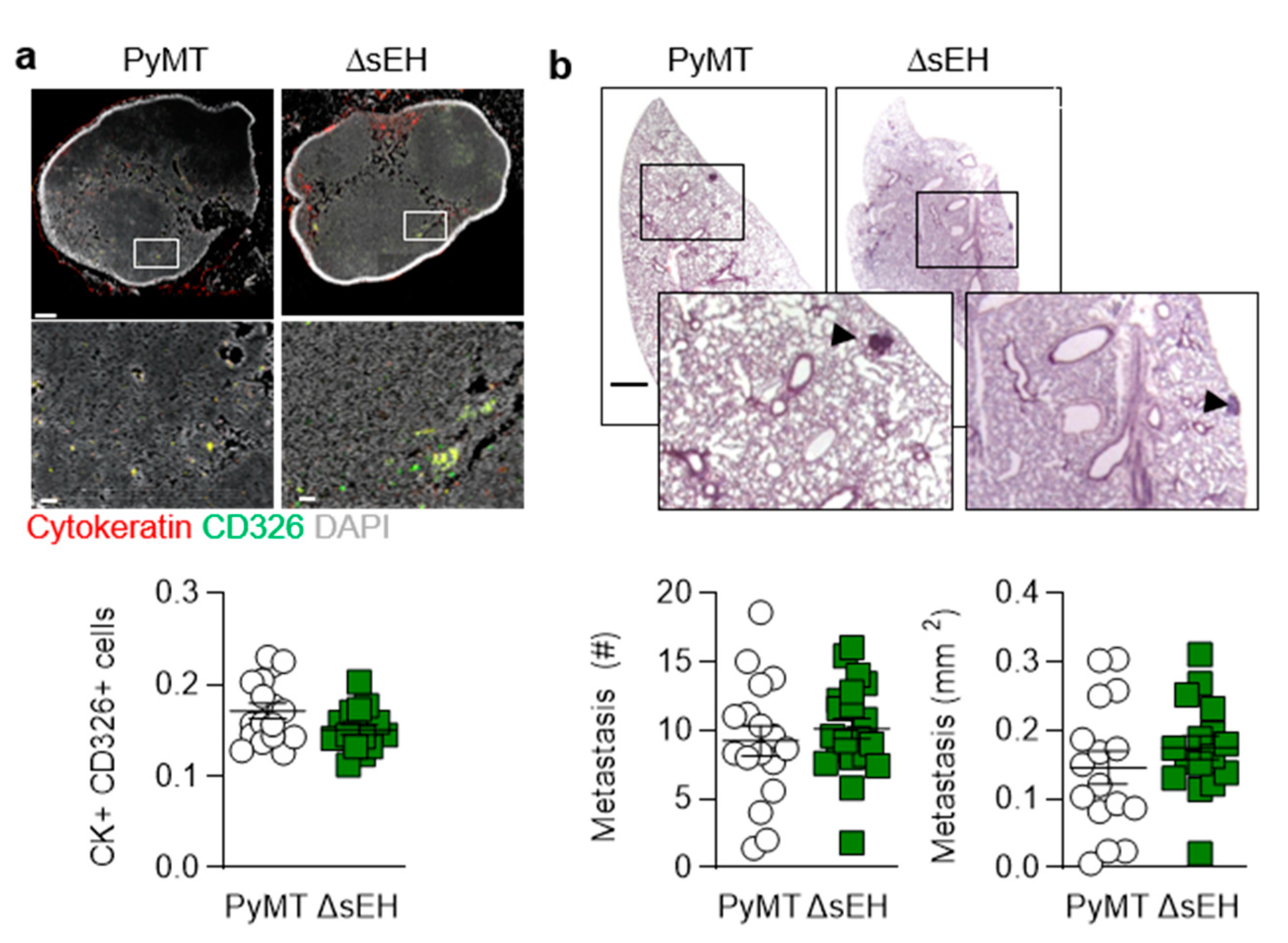 Ijms 22 07120 g002 Ijms 22 07120 g002