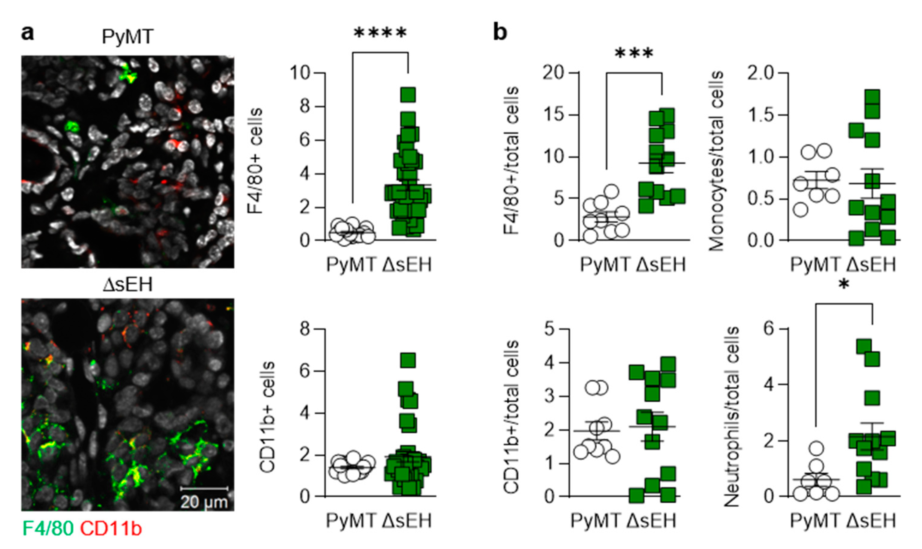 Ijms 22 07120 g004 Ijms 22 07120 g004