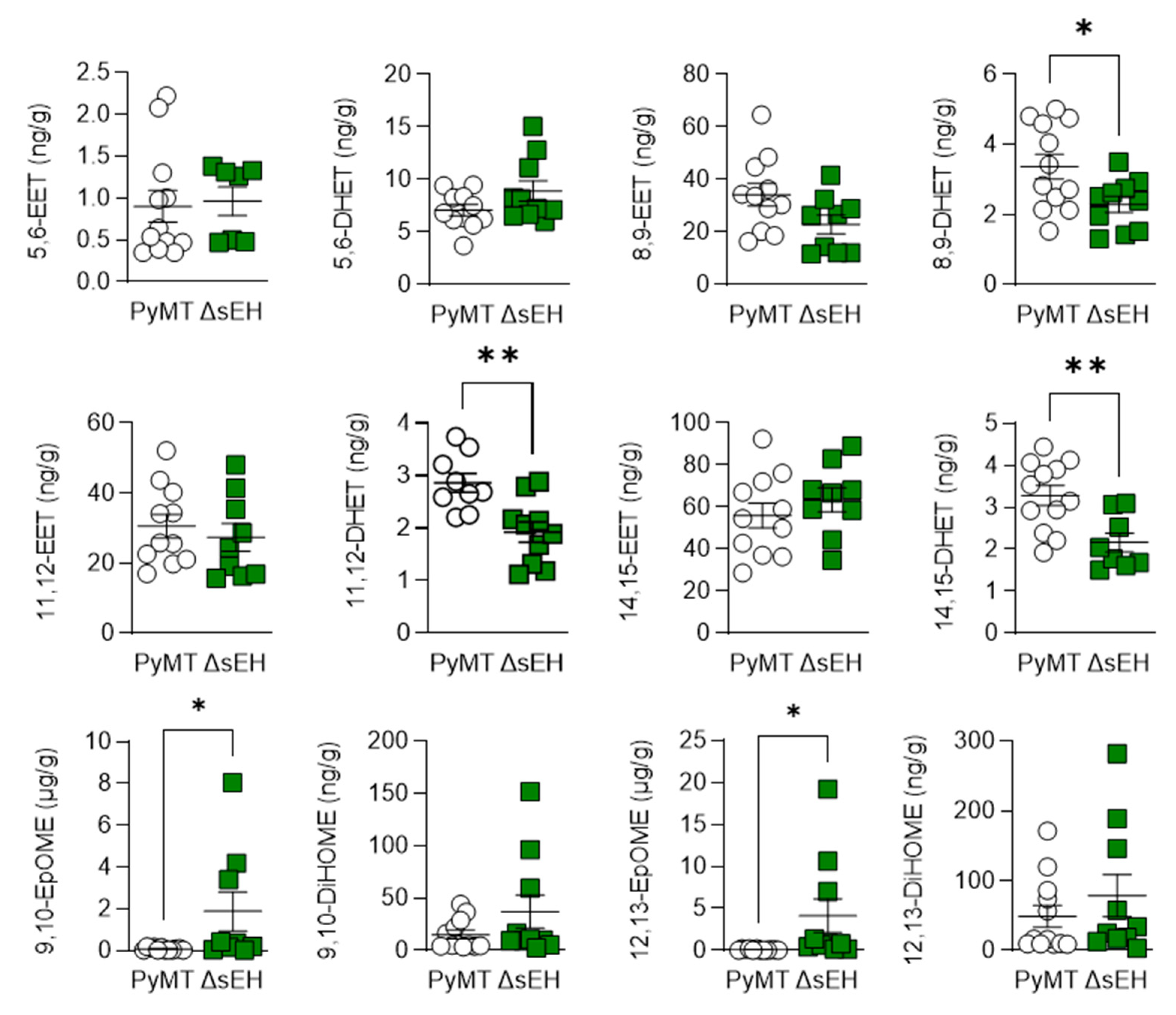 Ijms 22 07120 g005 Ijms 22 07120 g005