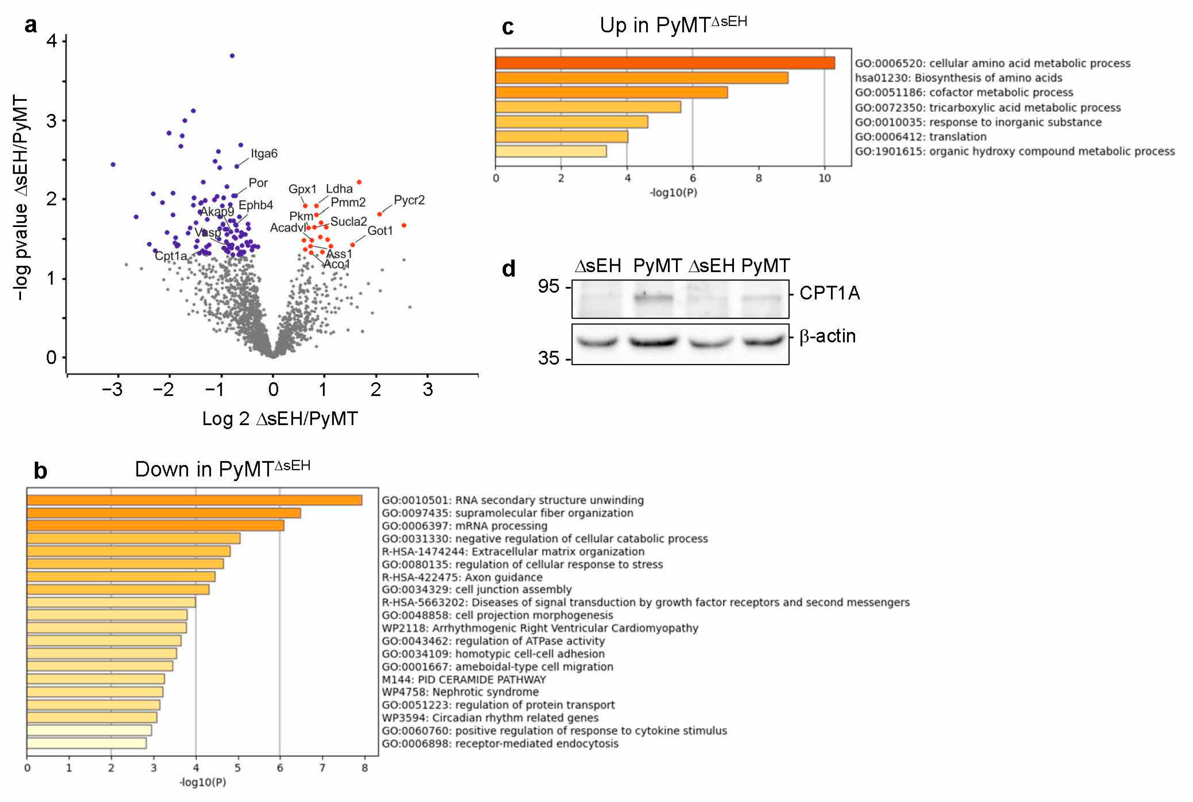 Ijms 22 07120 g008 Ijms 22 07120 g008