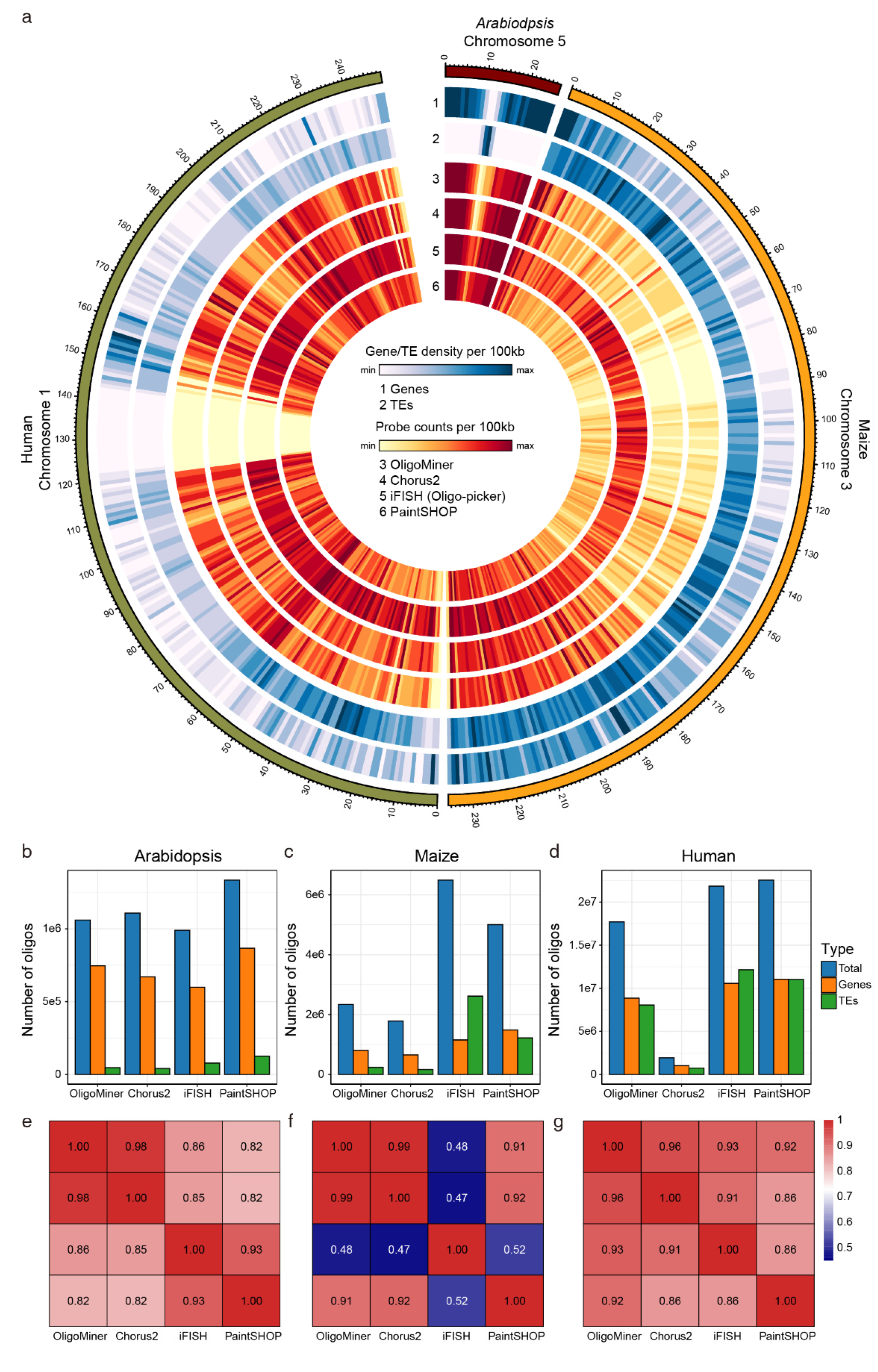 Ijms 22 07124 g003 Ijms 22 07124 g003
