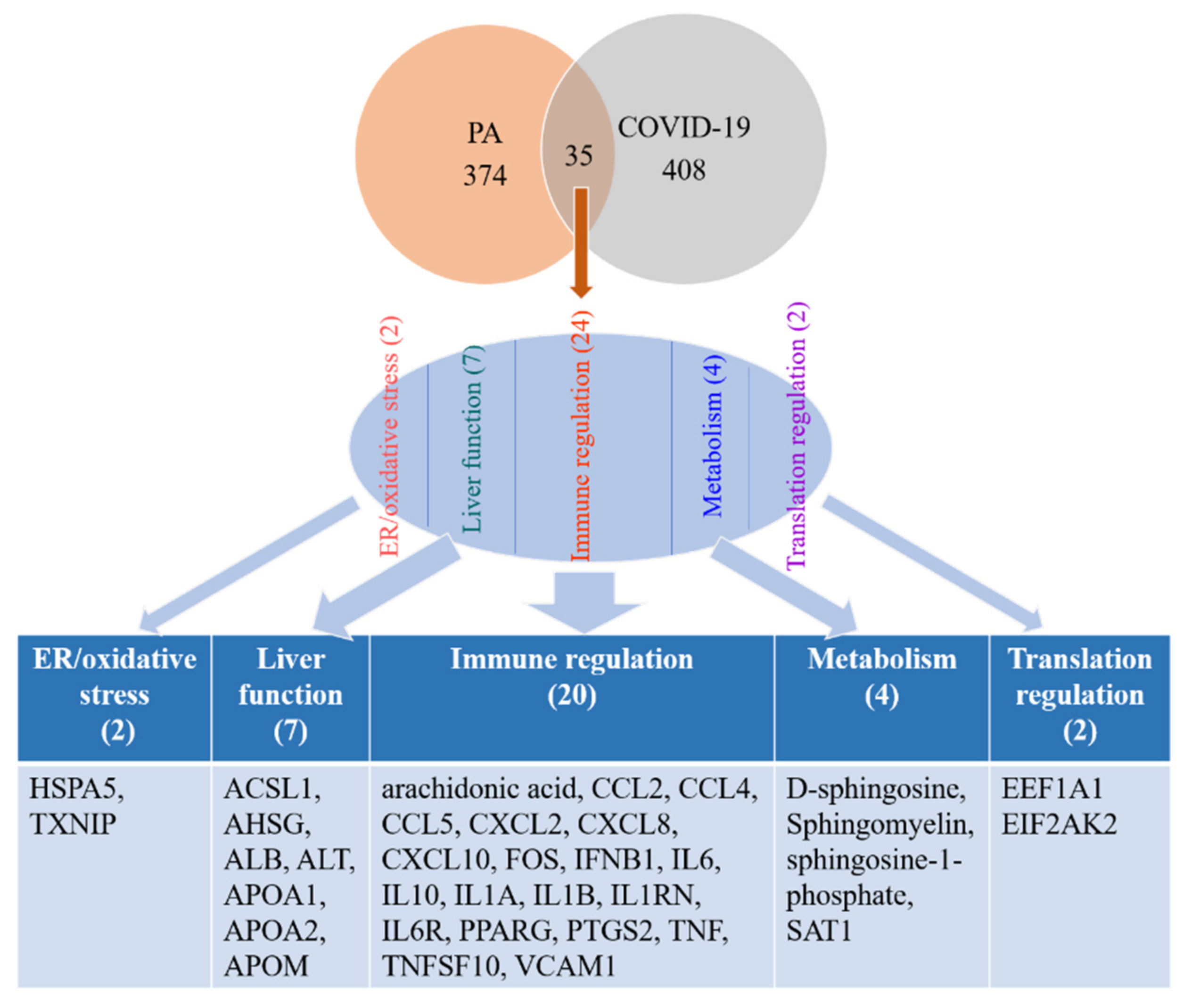 Ijms 22 07127 g002 550