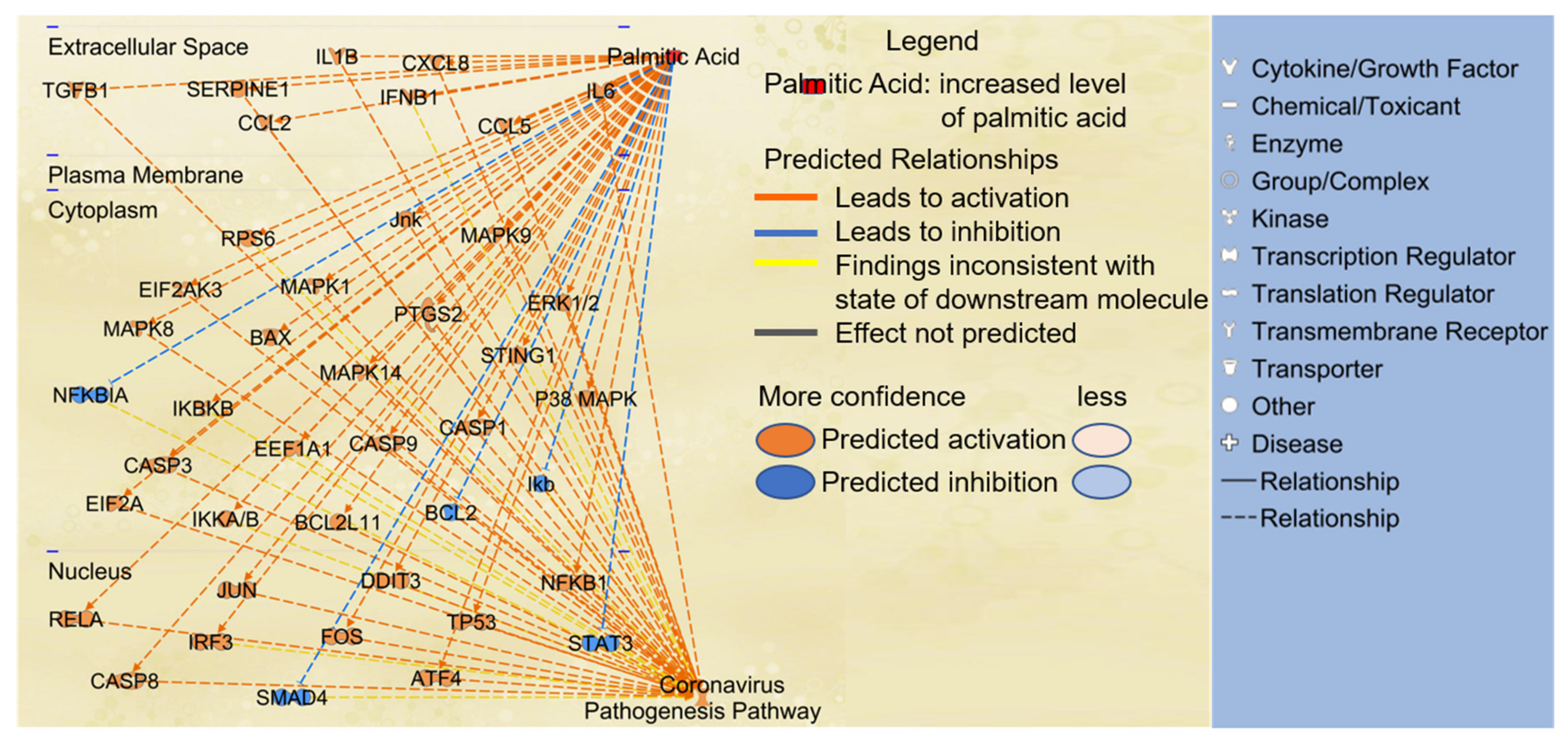 Ijms 22 07127 g003 550