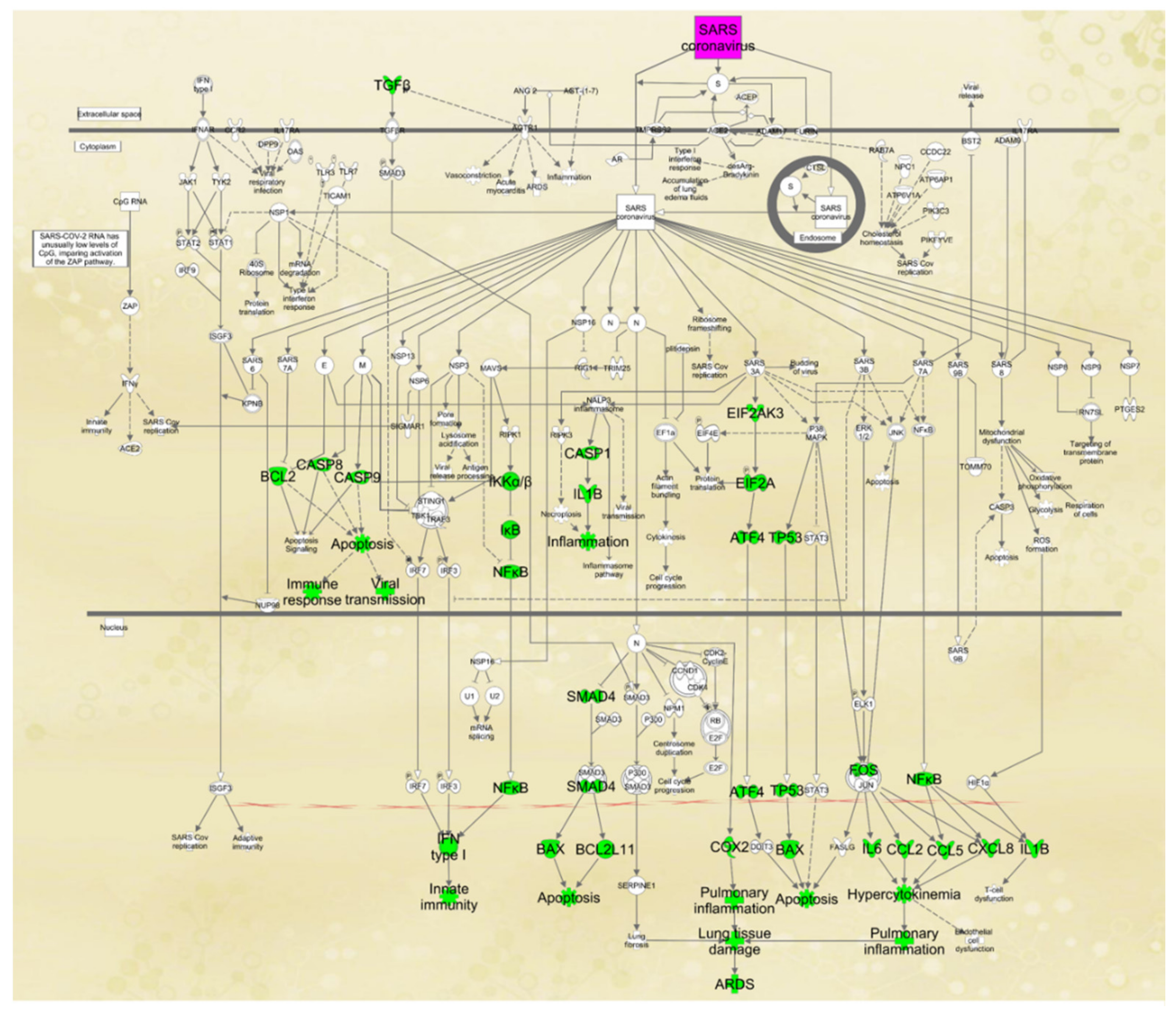 Ijms 22 07127 g005 550