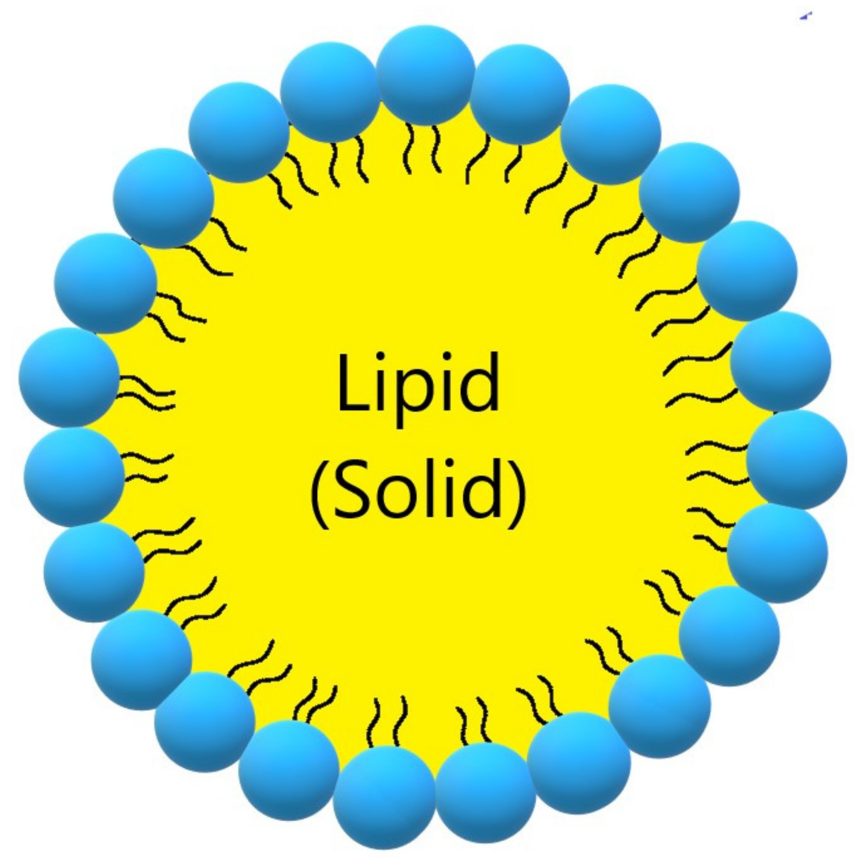 Ijms 22 07130 g003 Ijms 22 07130 g003