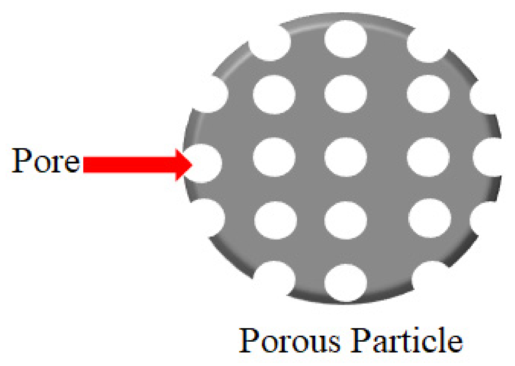 Ijms 22 07130 g007 Ijms 22 07130 g007