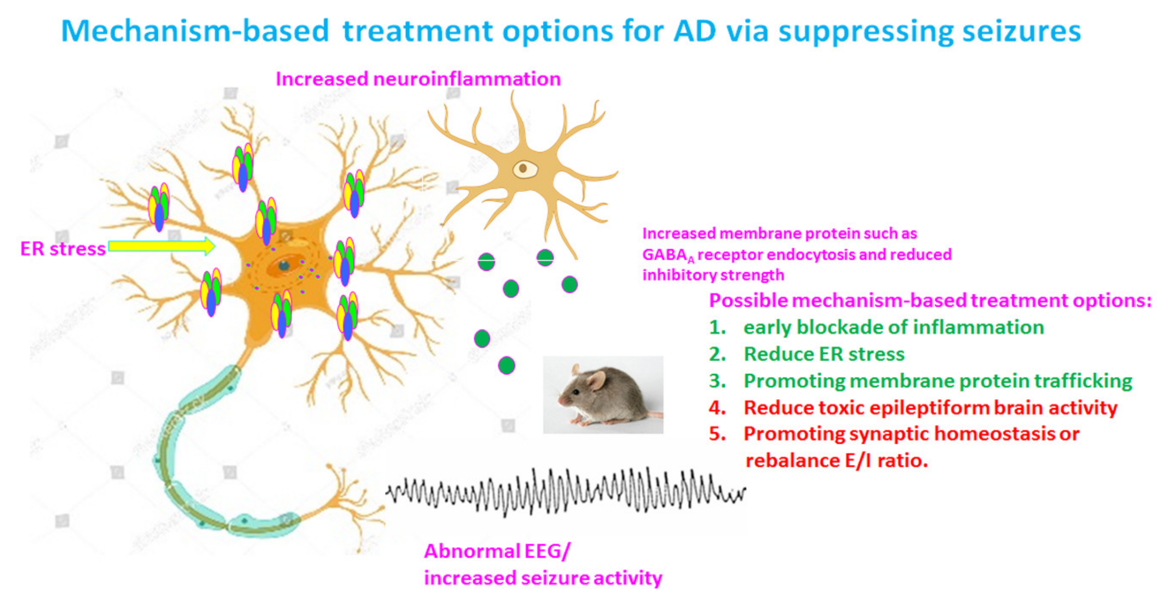Ijms 22 07133 g002 Ijms 22 07133 g002