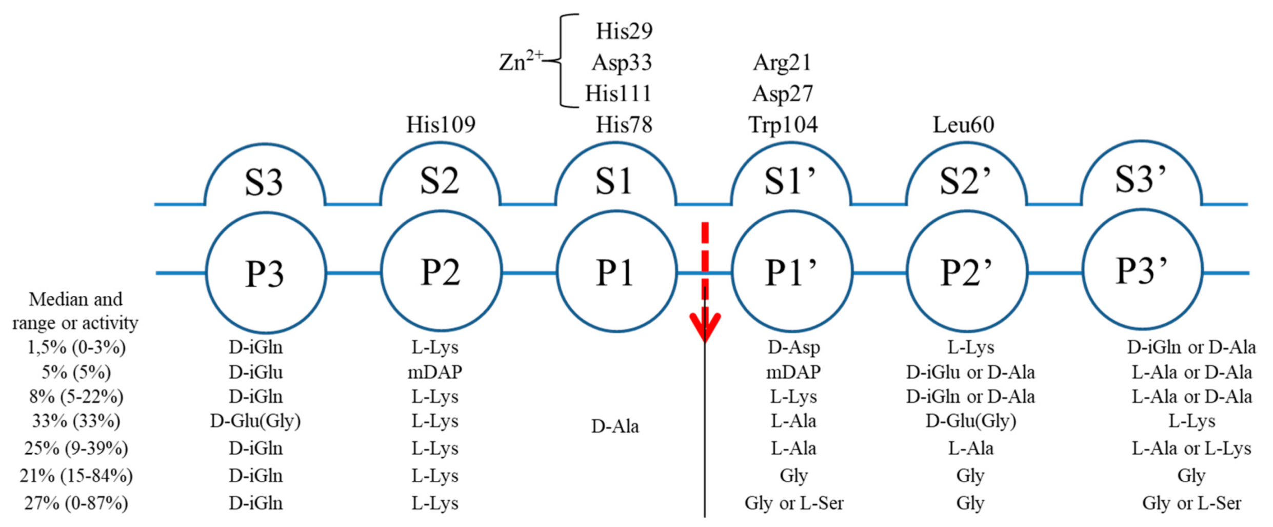 Ijms 22 07136 g005 Ijms 22 07136 g005