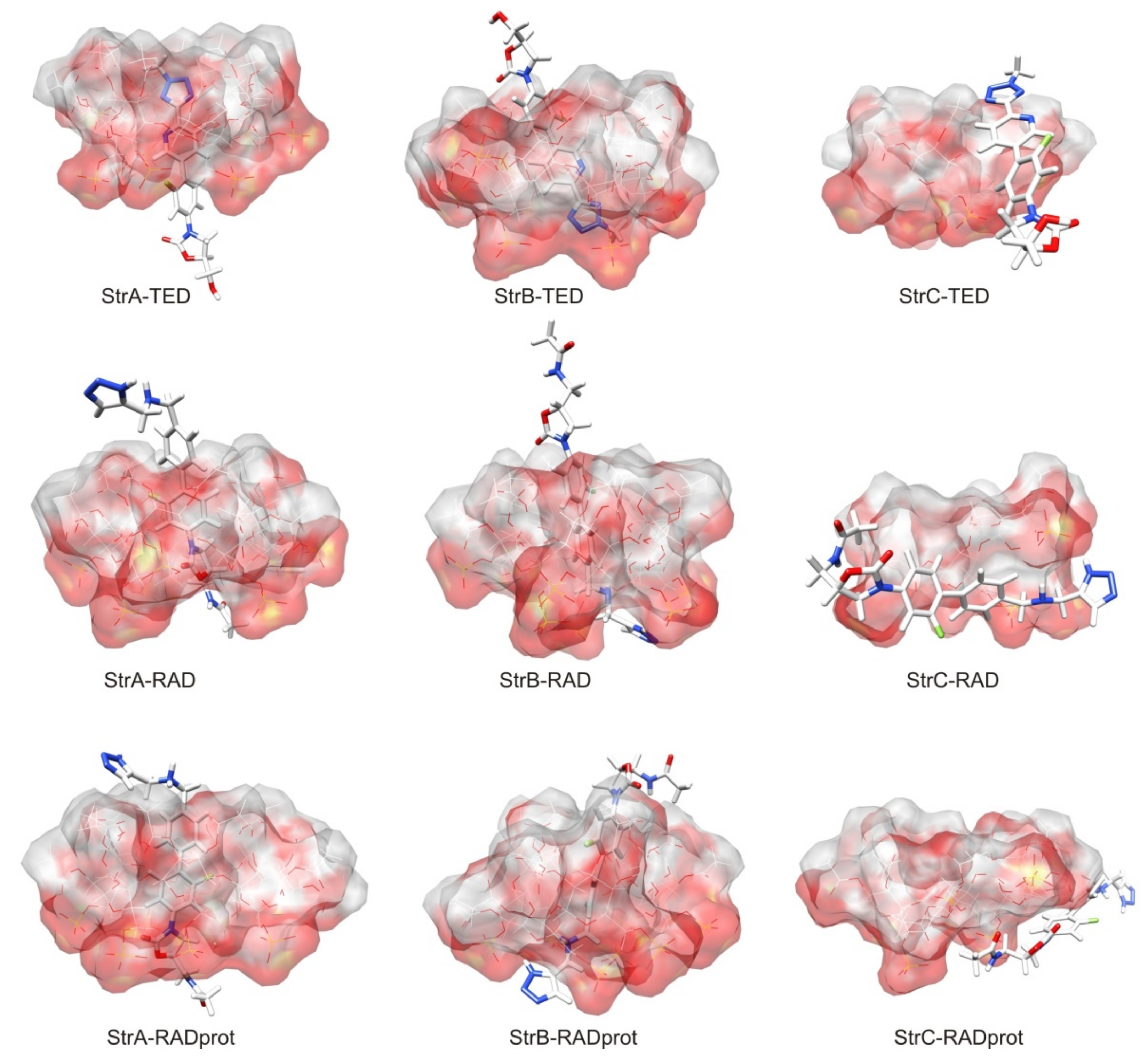 Ijms 22 07139 g003 550