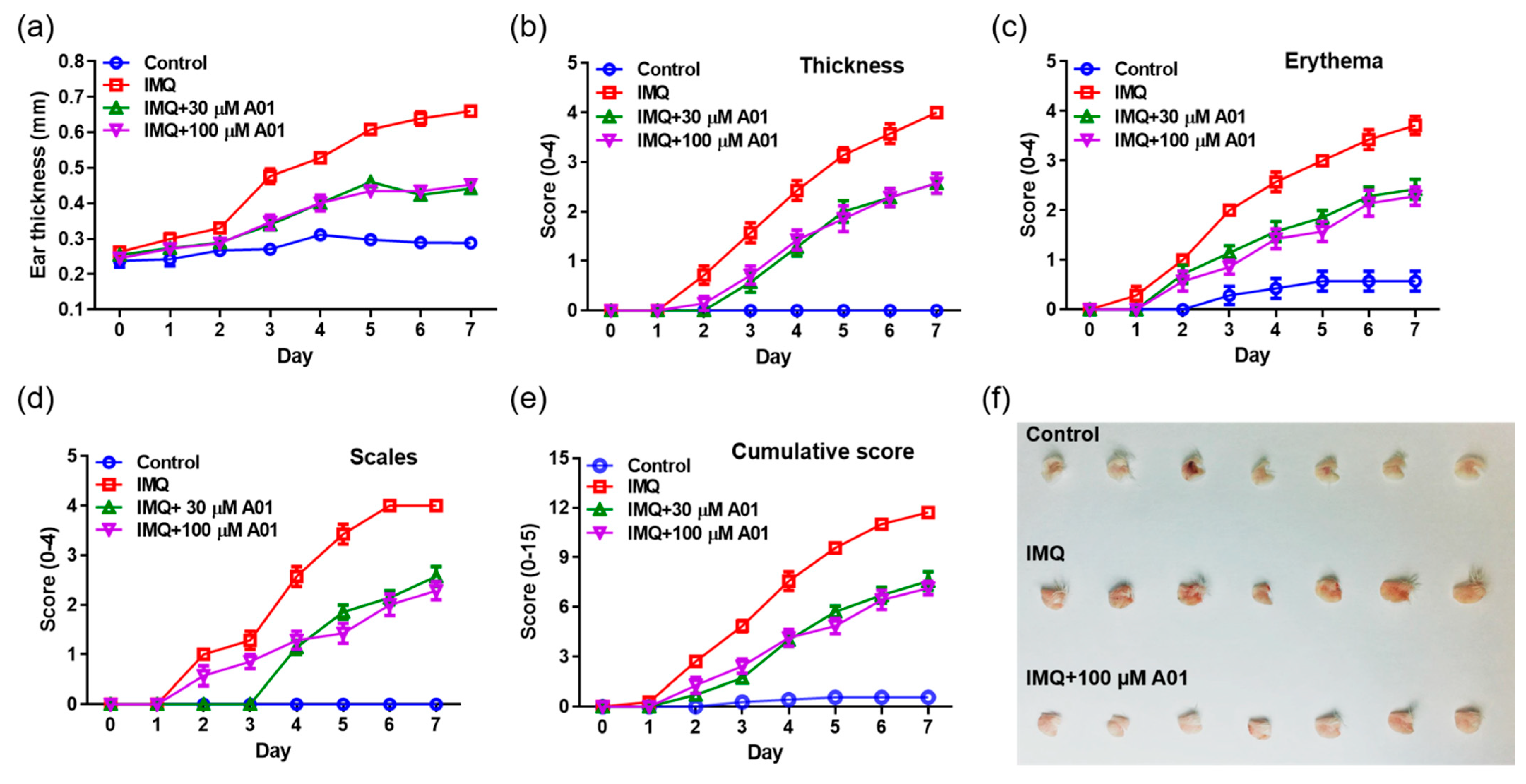 Ijms 22 07145 g004 550