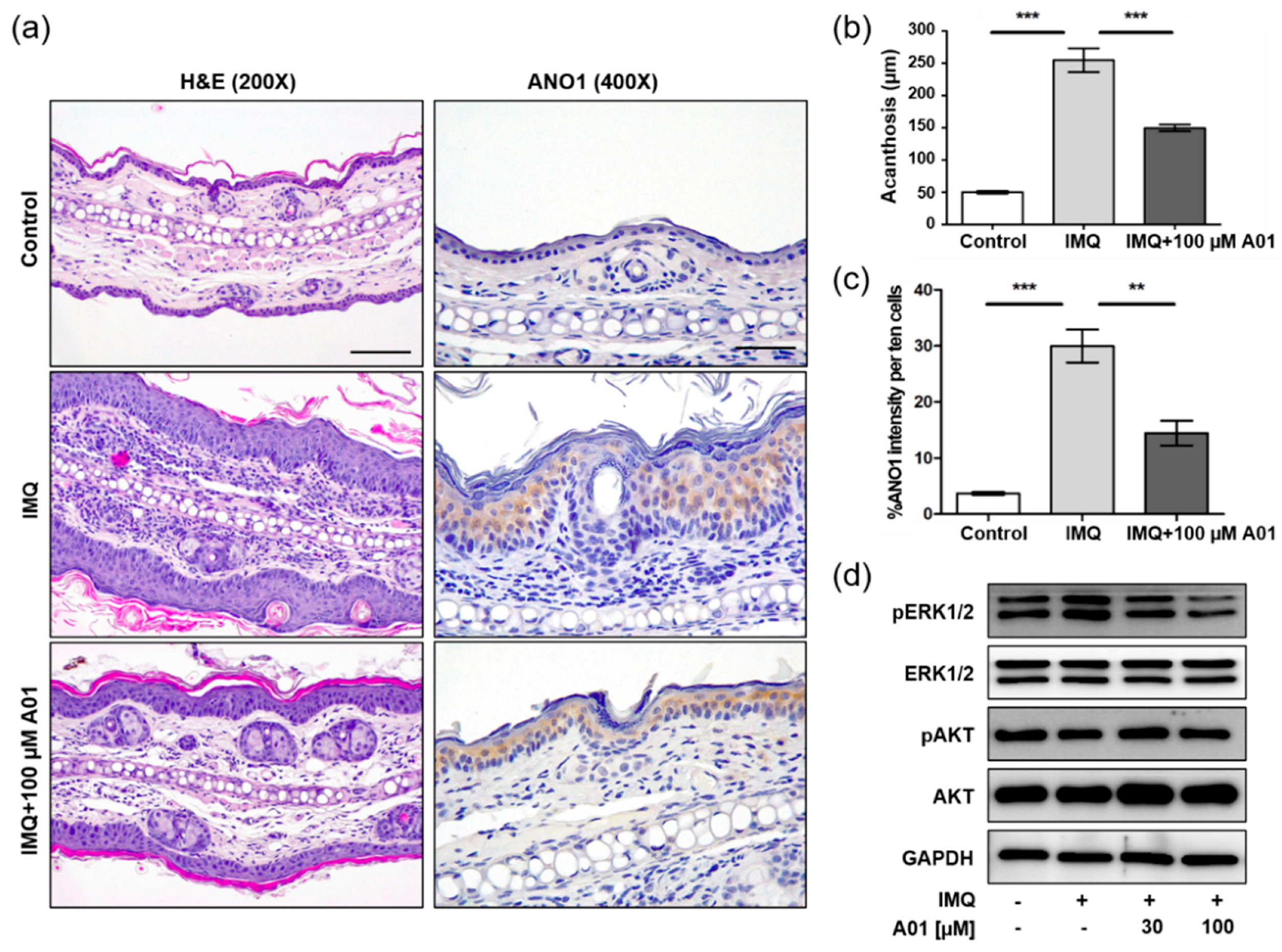 Ijms 22 07145 g005 550