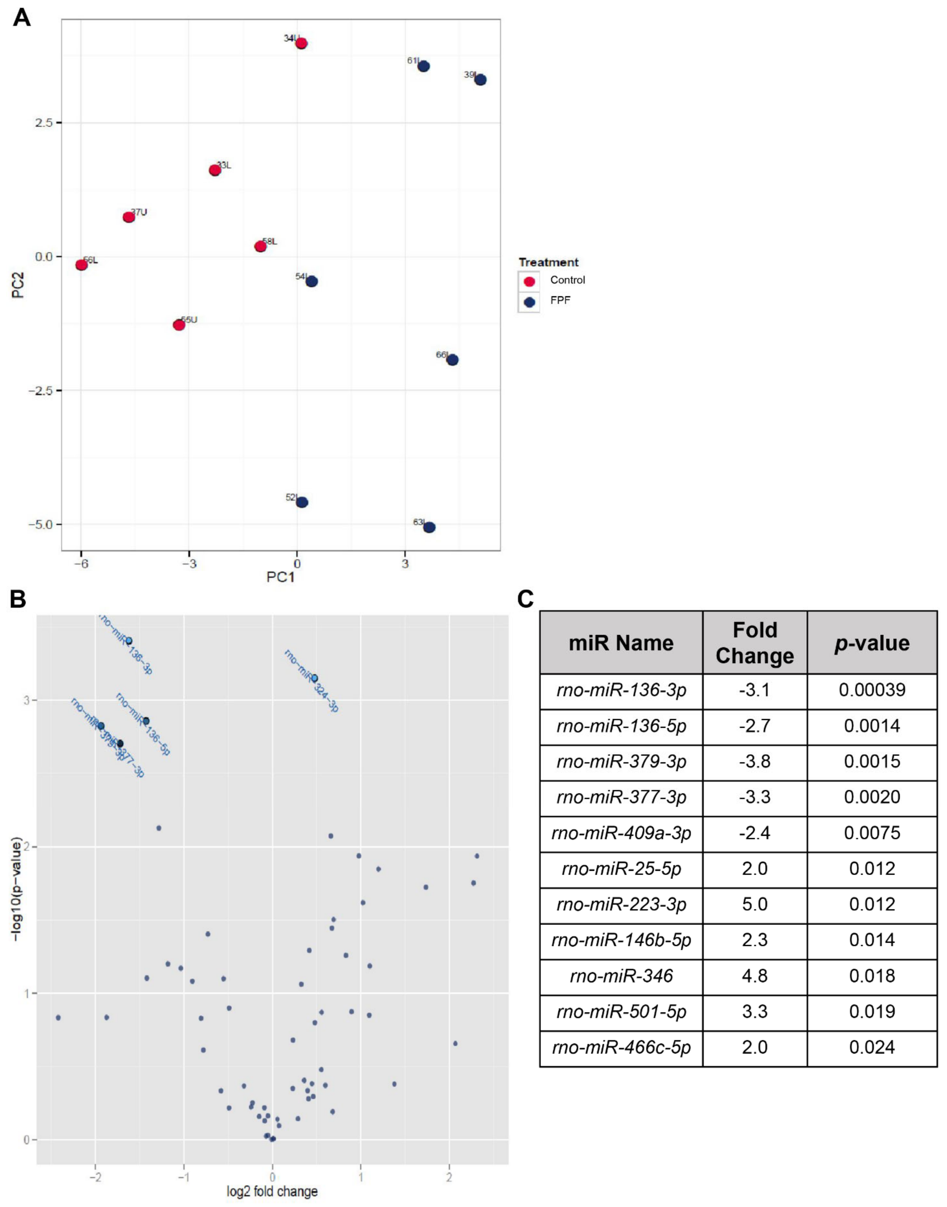 Ijms 22 07151 g008 Ijms 22 07151 g008