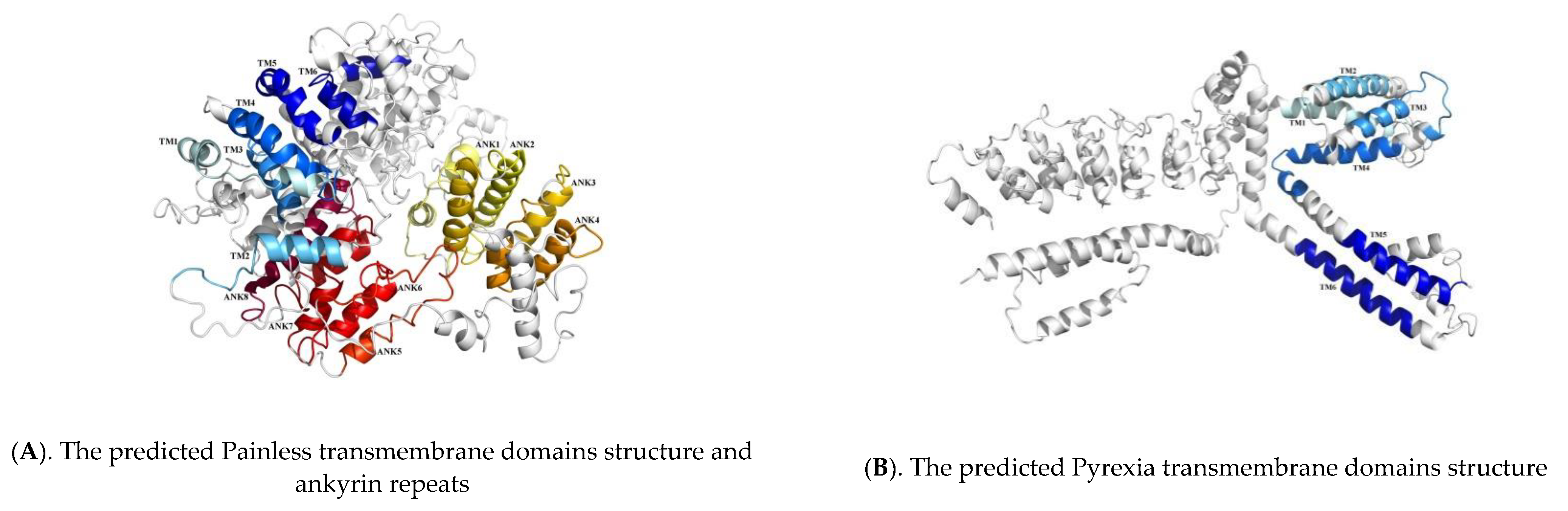 Ijms 22 07157 g003 550