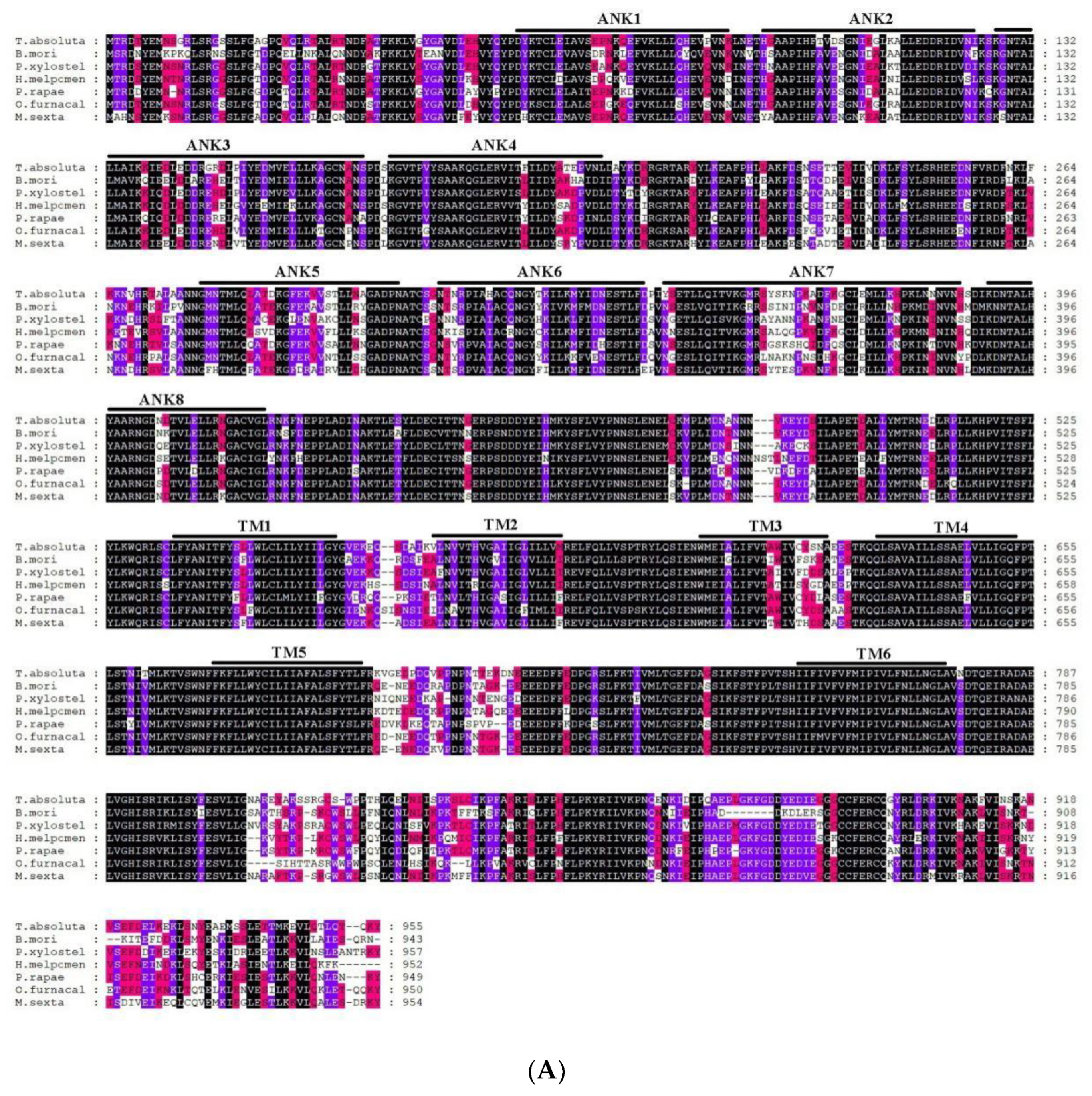 Ijms 22 07157 g004a 550