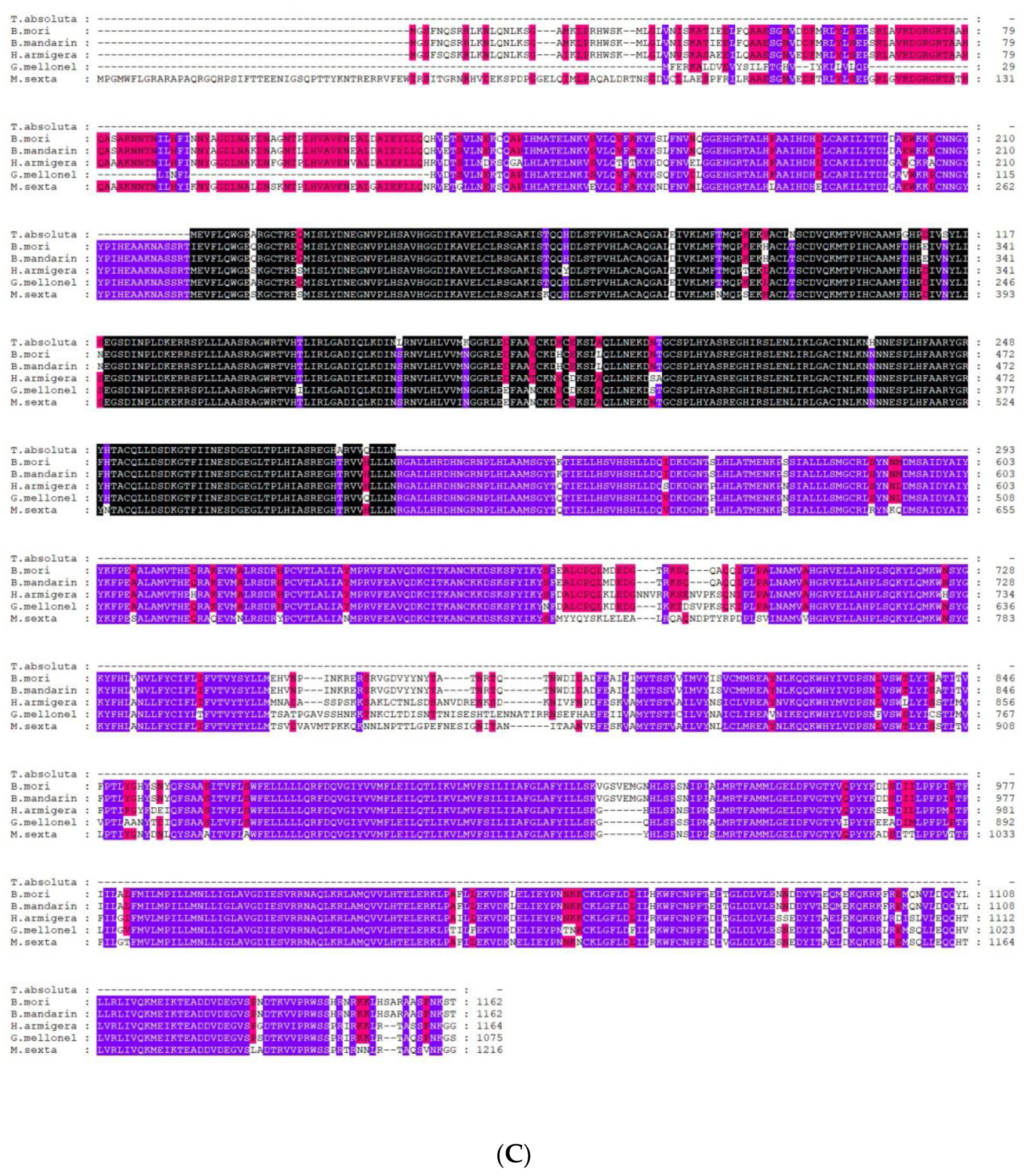 Ijms 22 07157 g004c 550
