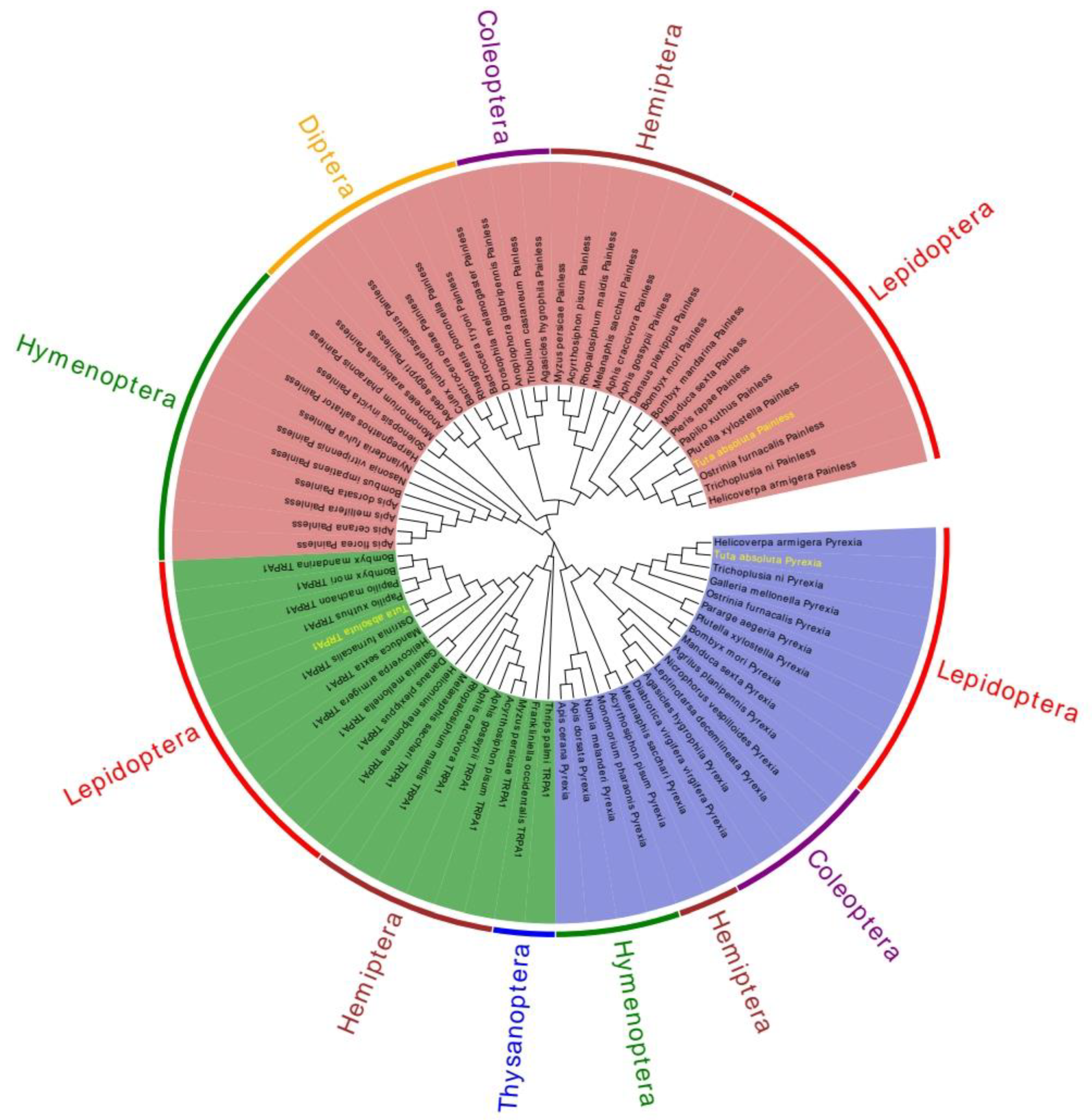 Ijms 22 07157 g005 550