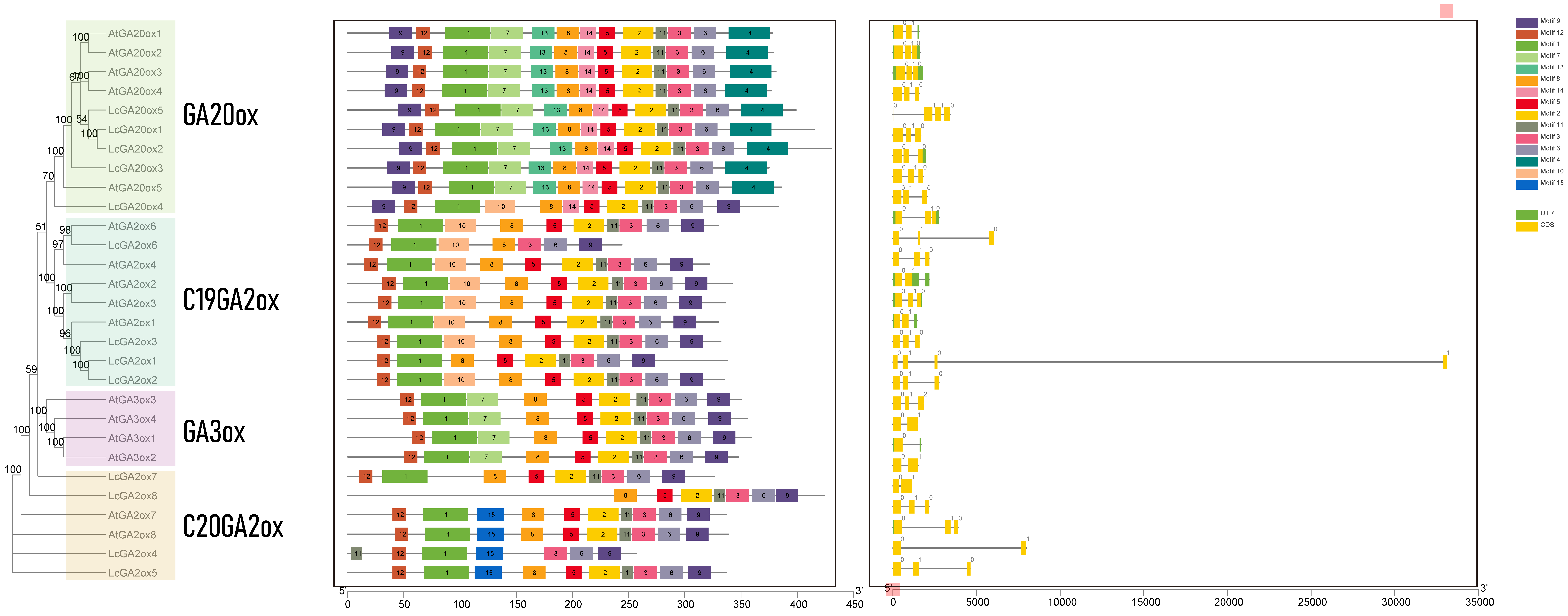 Ijms 22 07167 g002 550